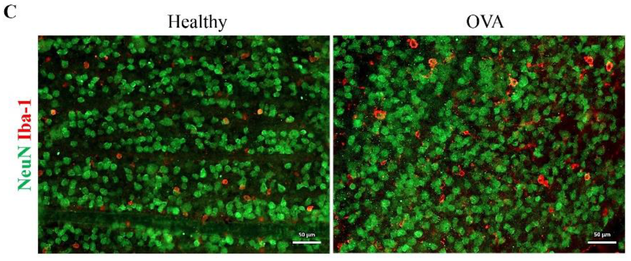 Cells 11 03062 g002b Cells 11 03062 g002b