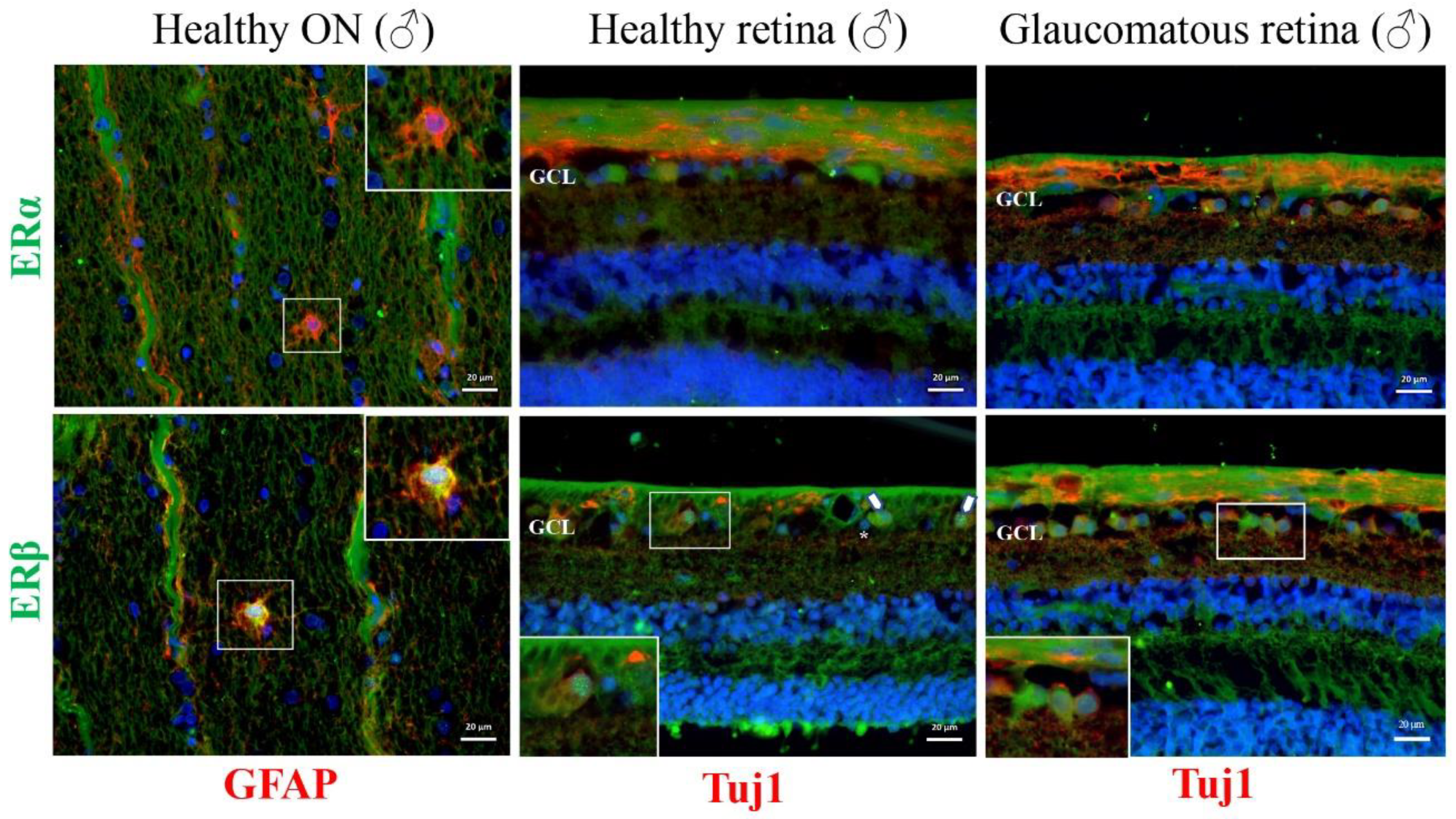Cells 11 03062 g005 Cells 11 03062 g005
