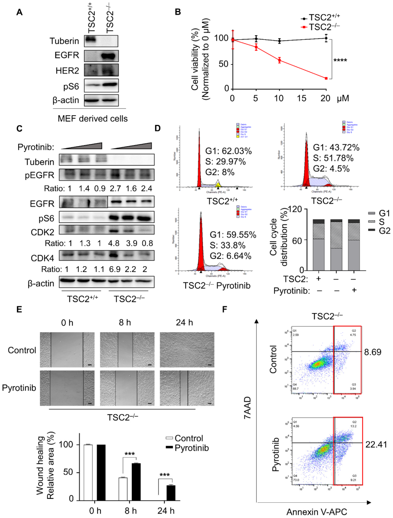 Cells 11 03064 g001 Cells 11 03064 g001