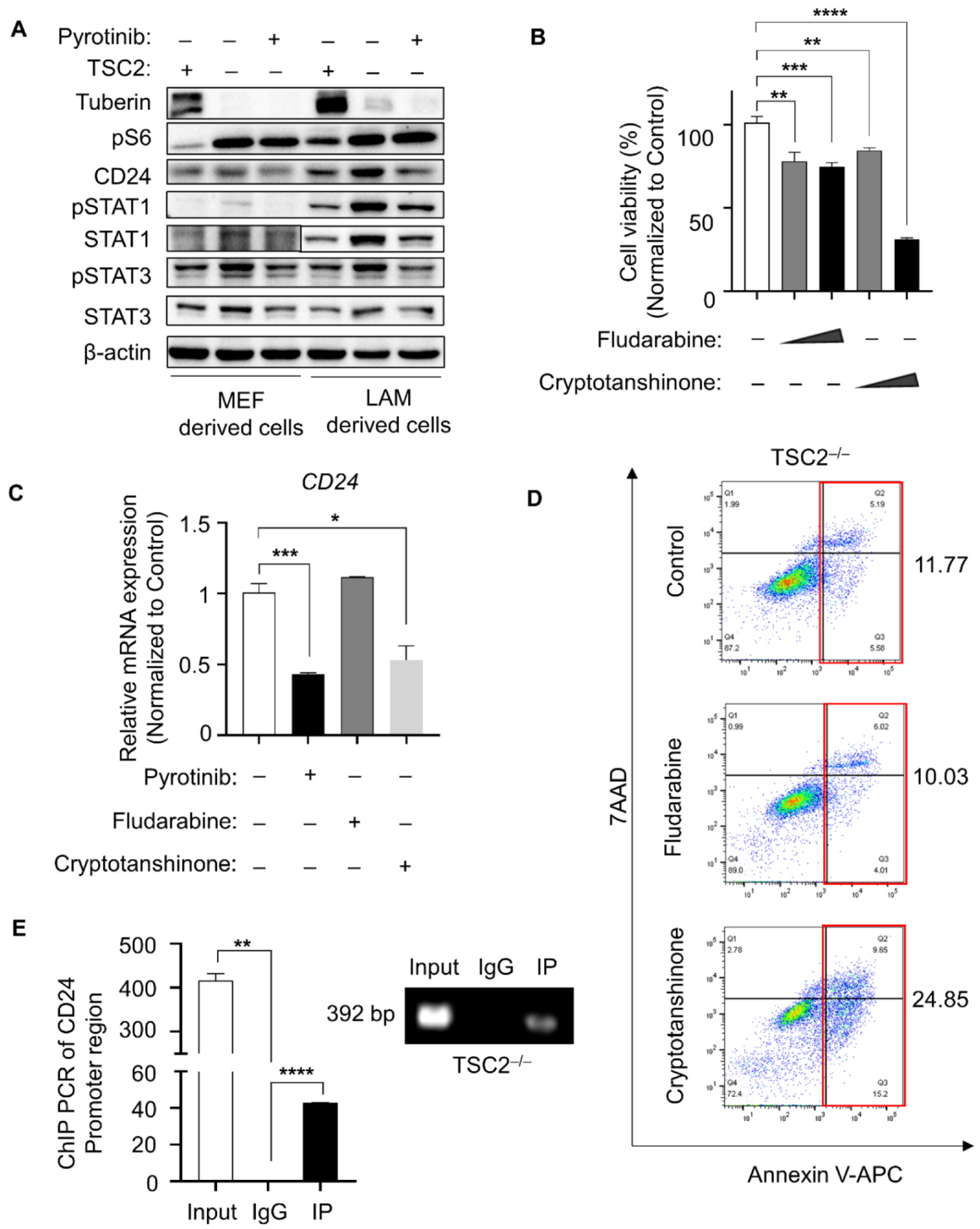 Cells 11 03064 g003 Cells 11 03064 g003