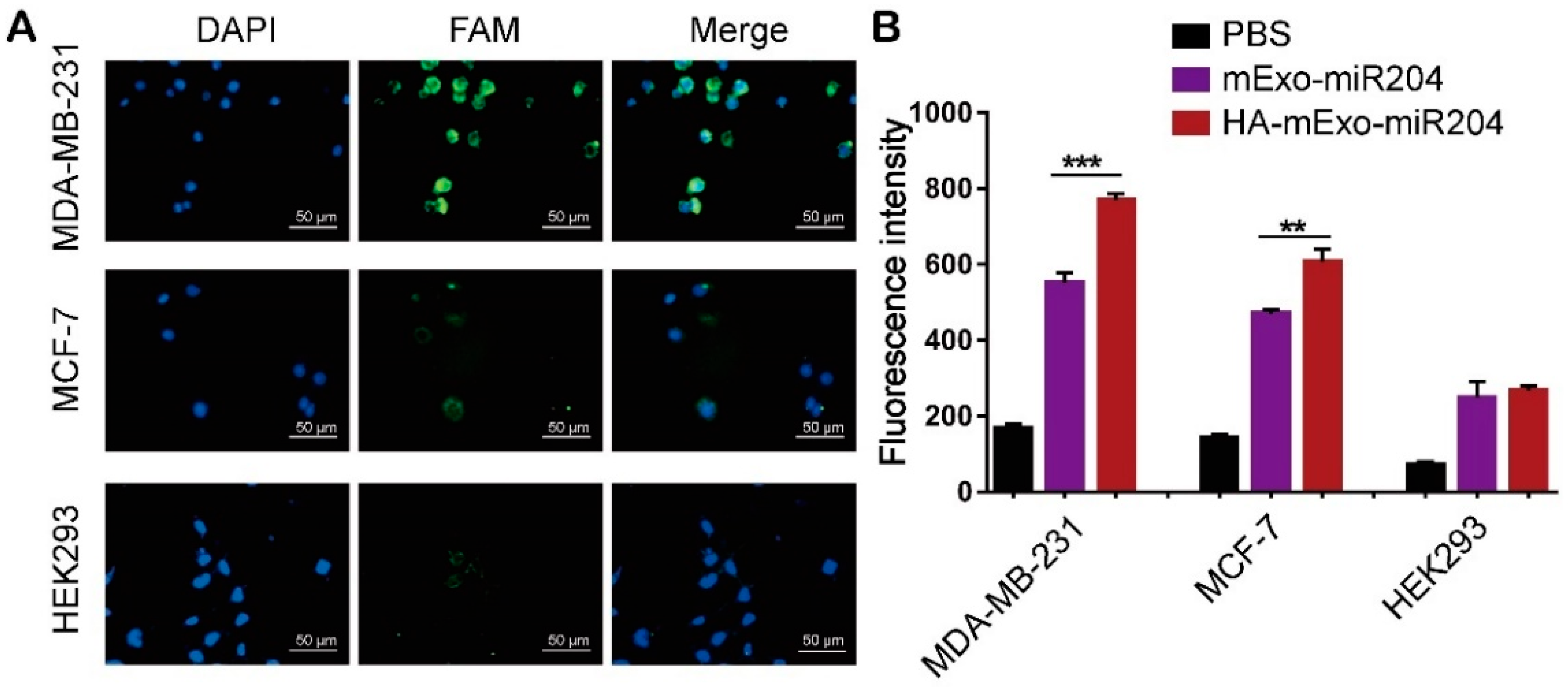 Cells 11 03065 g002 Cells 11 03065 g002