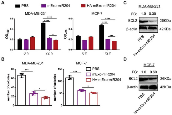 Hyaluronic Acid-Coated Bovine Milk Exosomes for Achieving