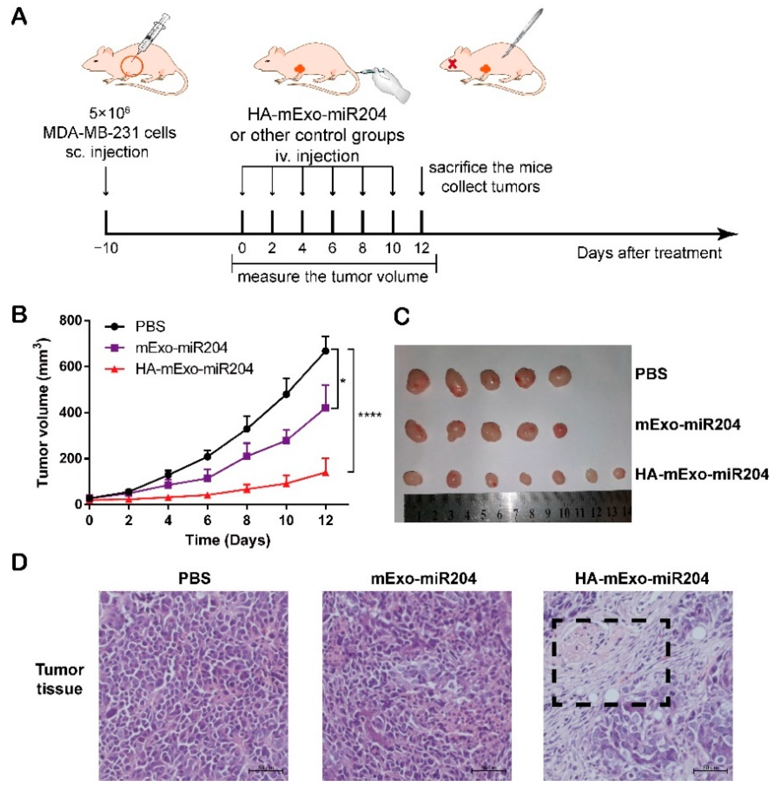 Cells 11 03065 g004 Cells 11 03065 g004