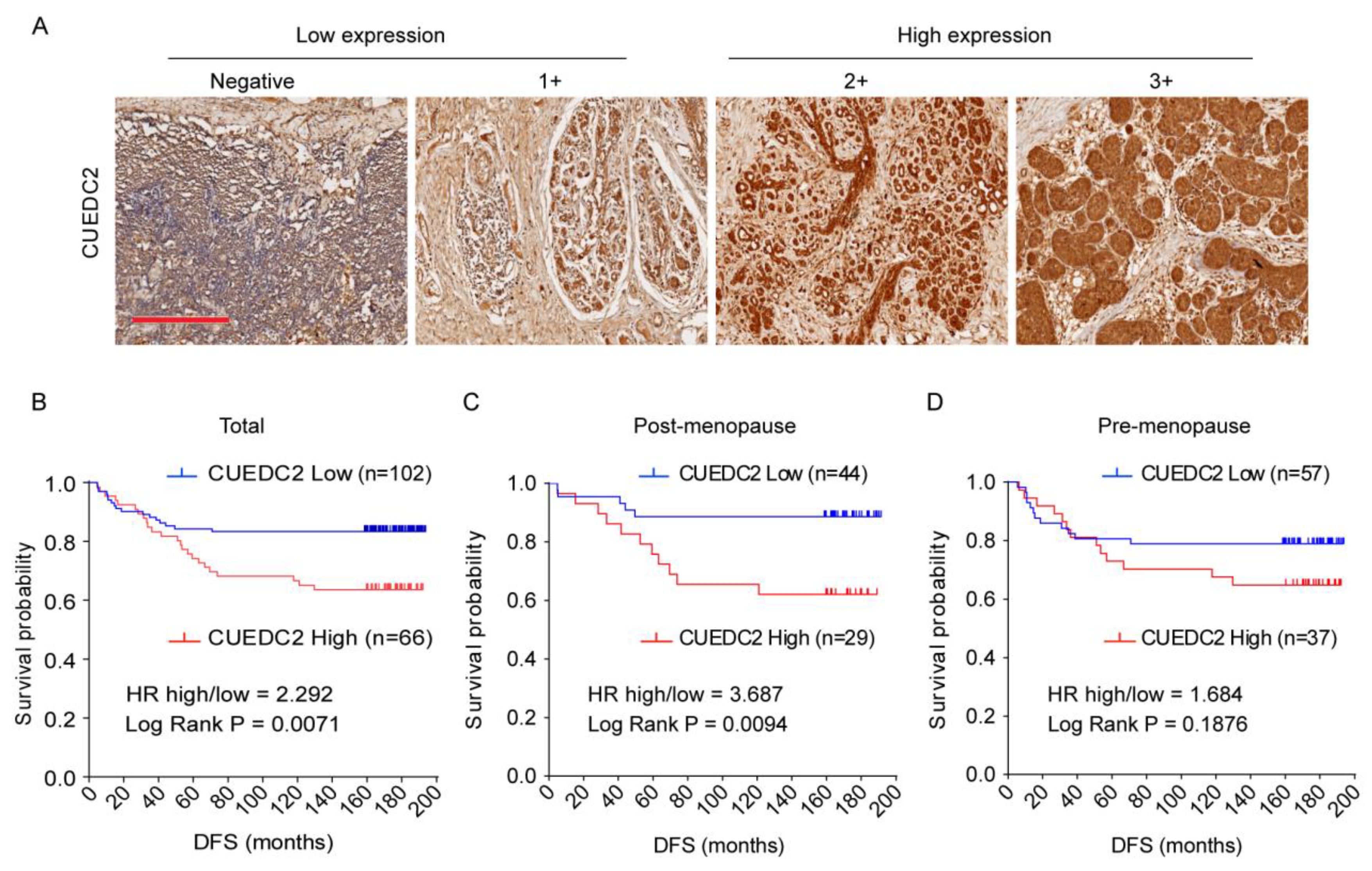 Cells 11 03067 g001 Cells 11 03067 g001