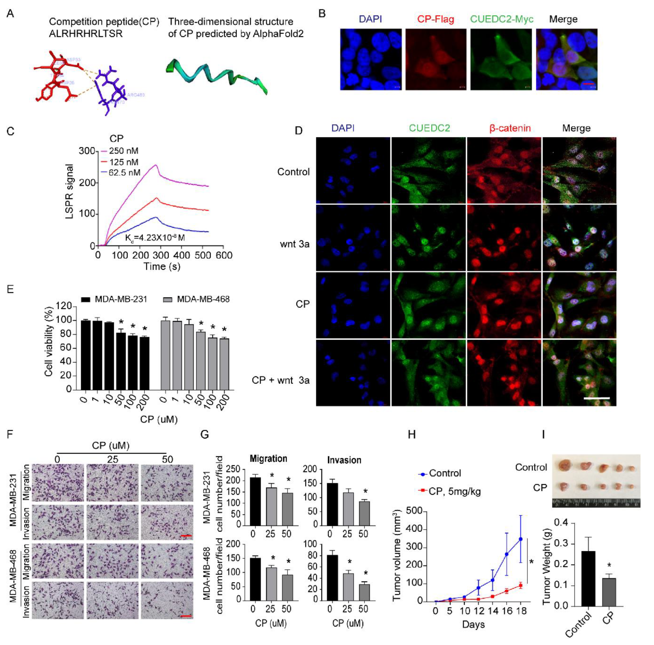 Cells 11 03067 g005 Cells 11 03067 g005