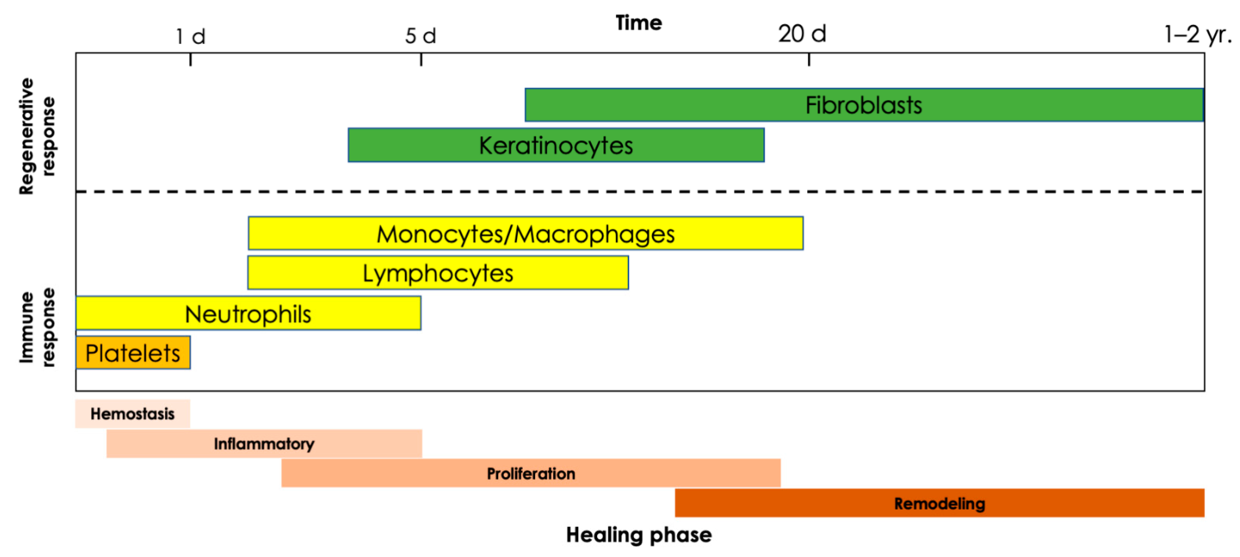 Cells 11 03073 g002 Cells 11 03073 g002
