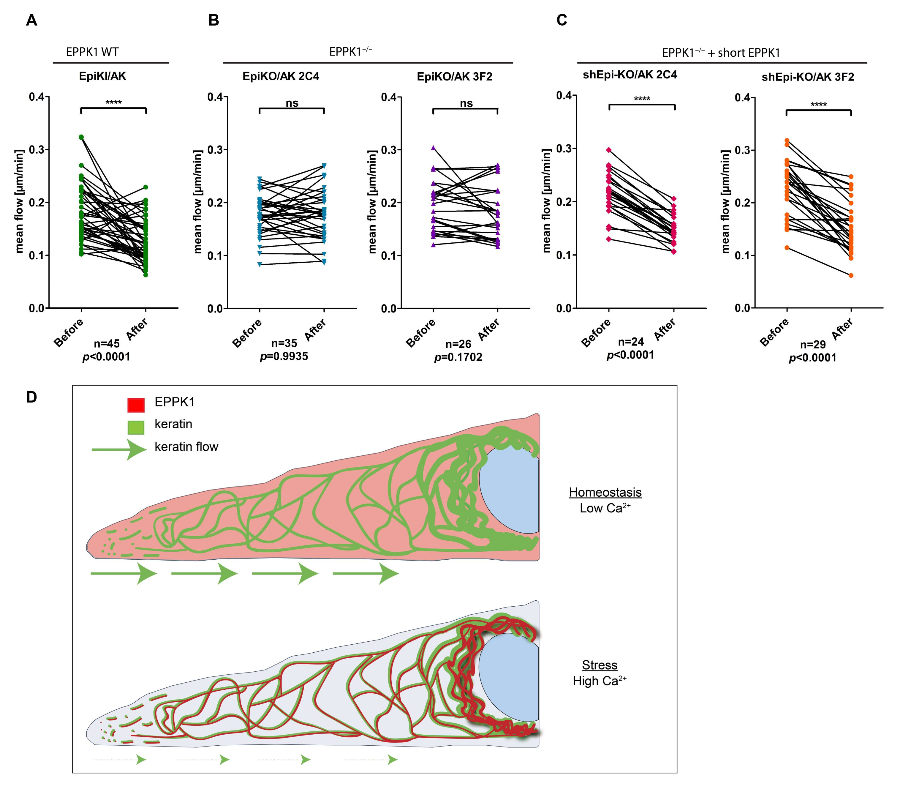 Cells 11 03077 g004 Cells 11 03077 g004