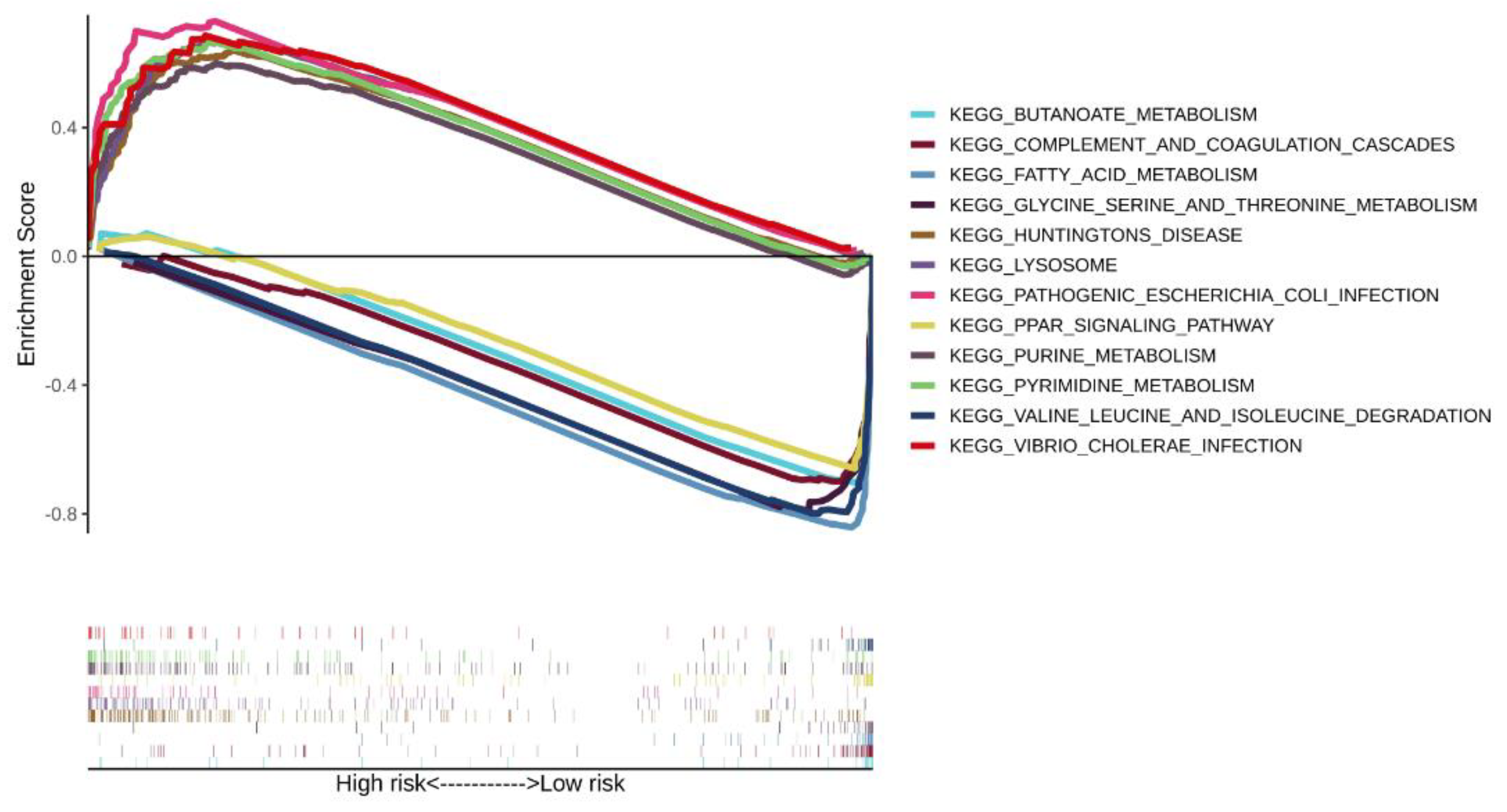 Cells 11 03078 g008 Cells 11 03078 g008
