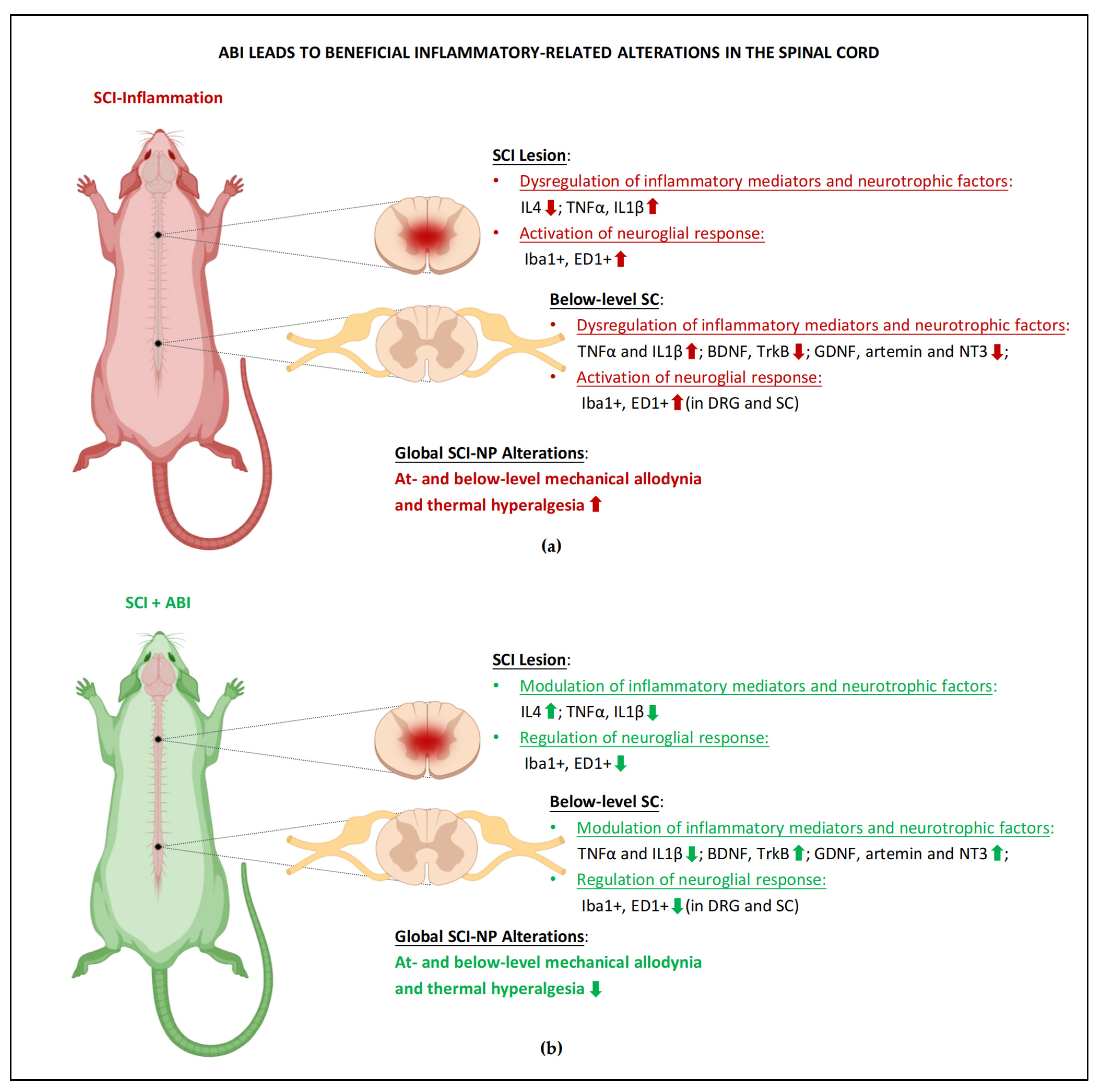 Cells 11 03087 g001 Cells 11 03087 g001