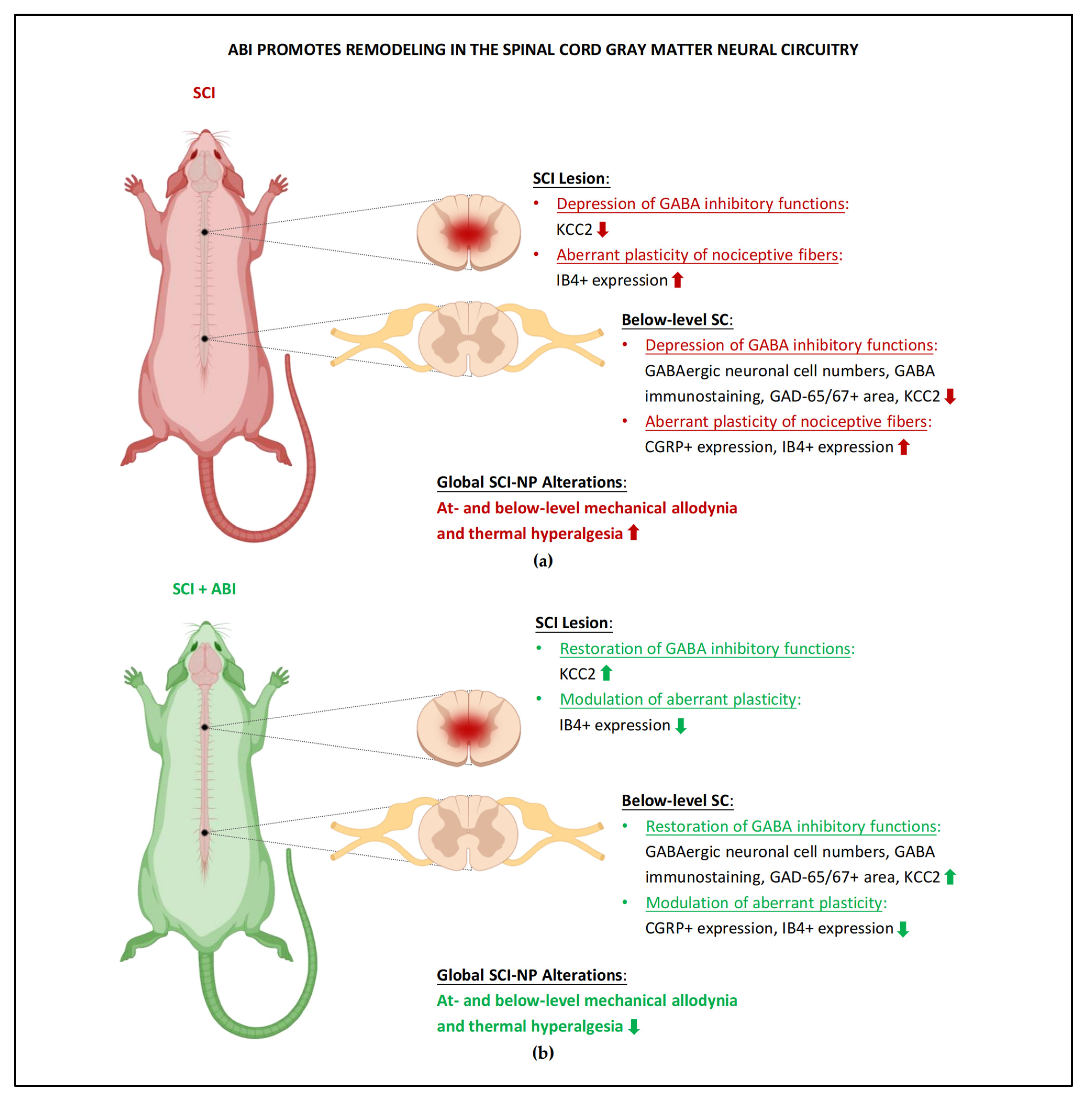 Cells 11 03087 g002 Cells 11 03087 g002
