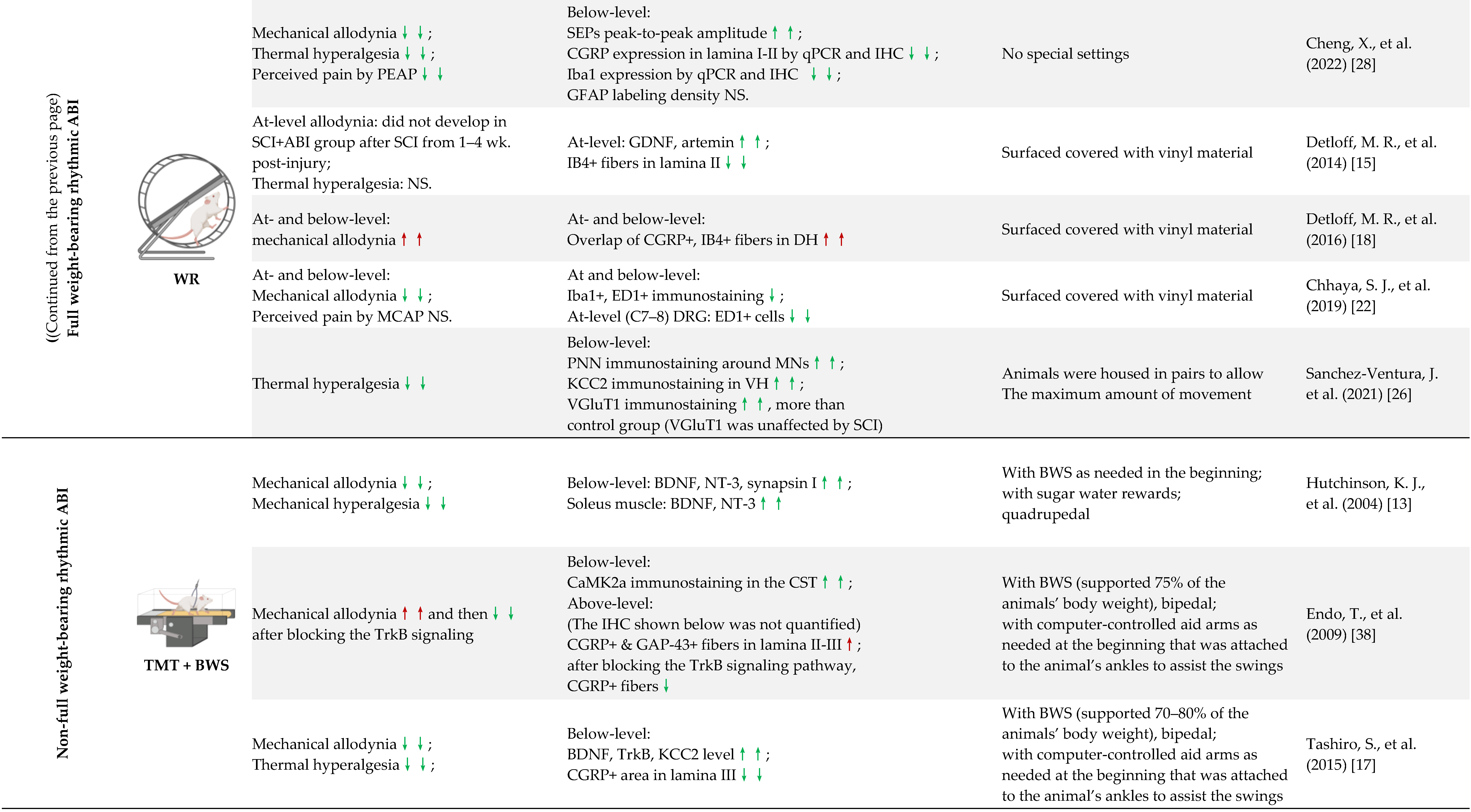 Cells 11 03087 i003b Cells 11 03087 i003b