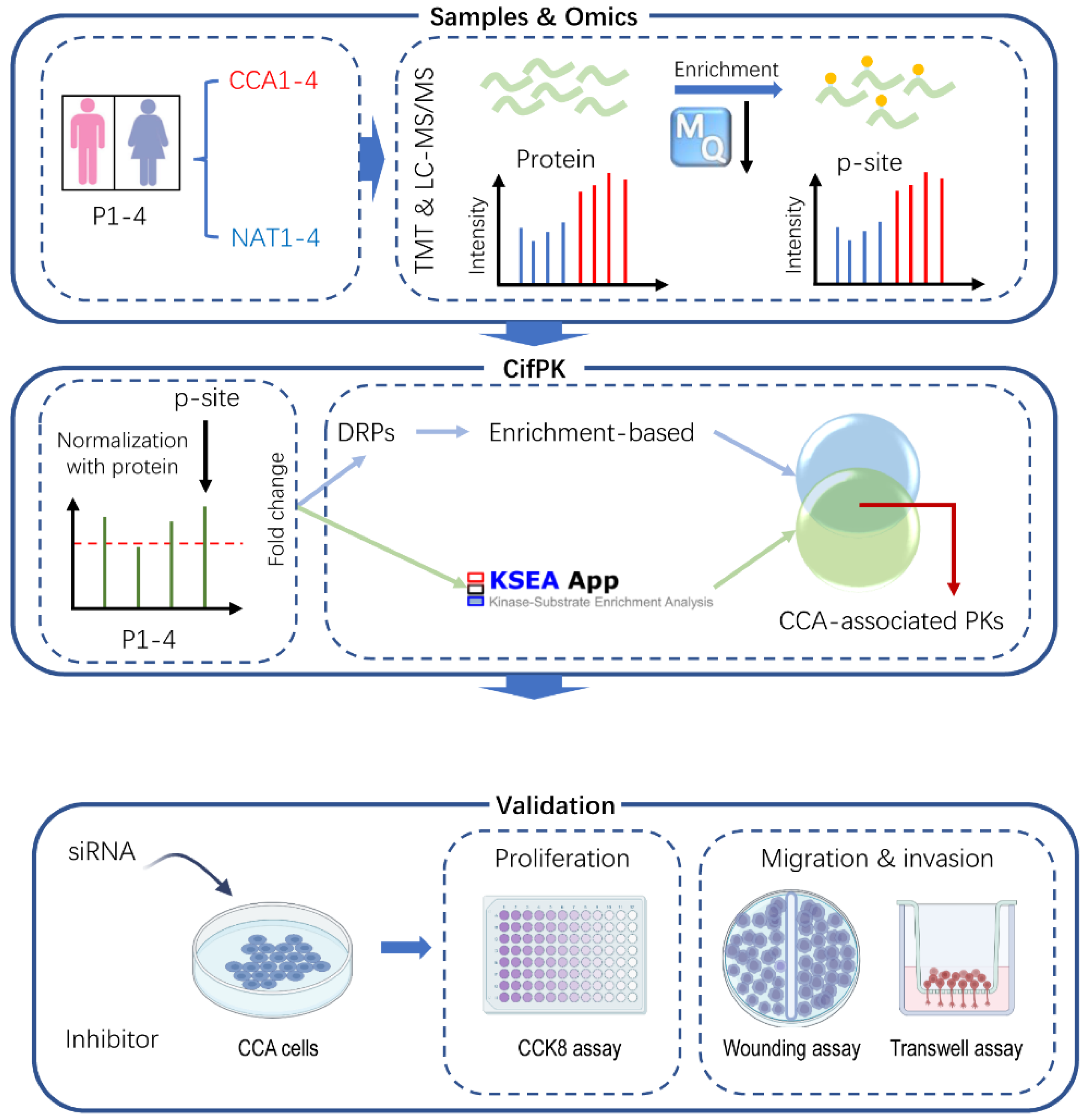 Cells 11 03088 g001 Cells 11 03088 g001
