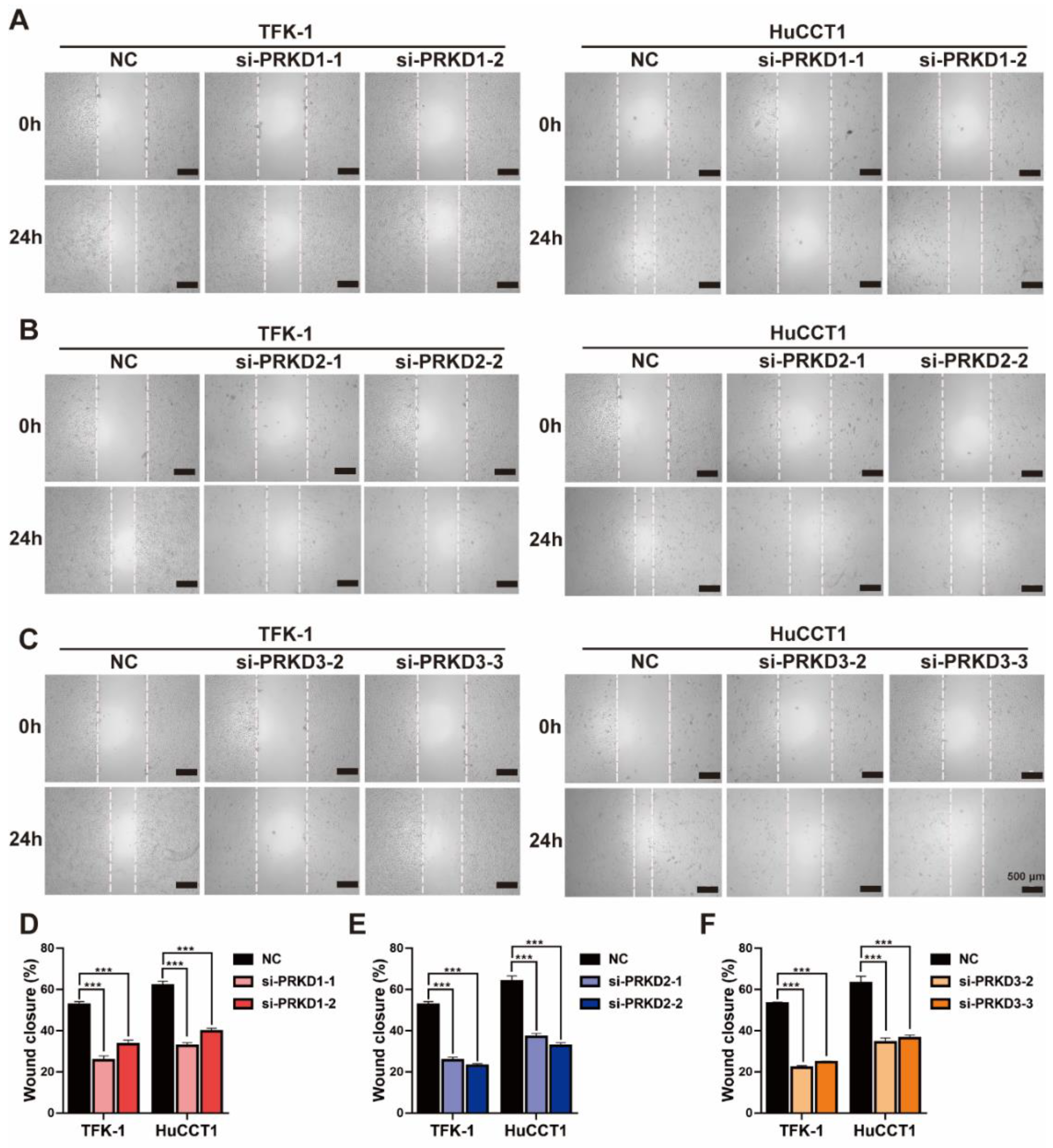 Cells 11 03088 g006 Cells 11 03088 g006