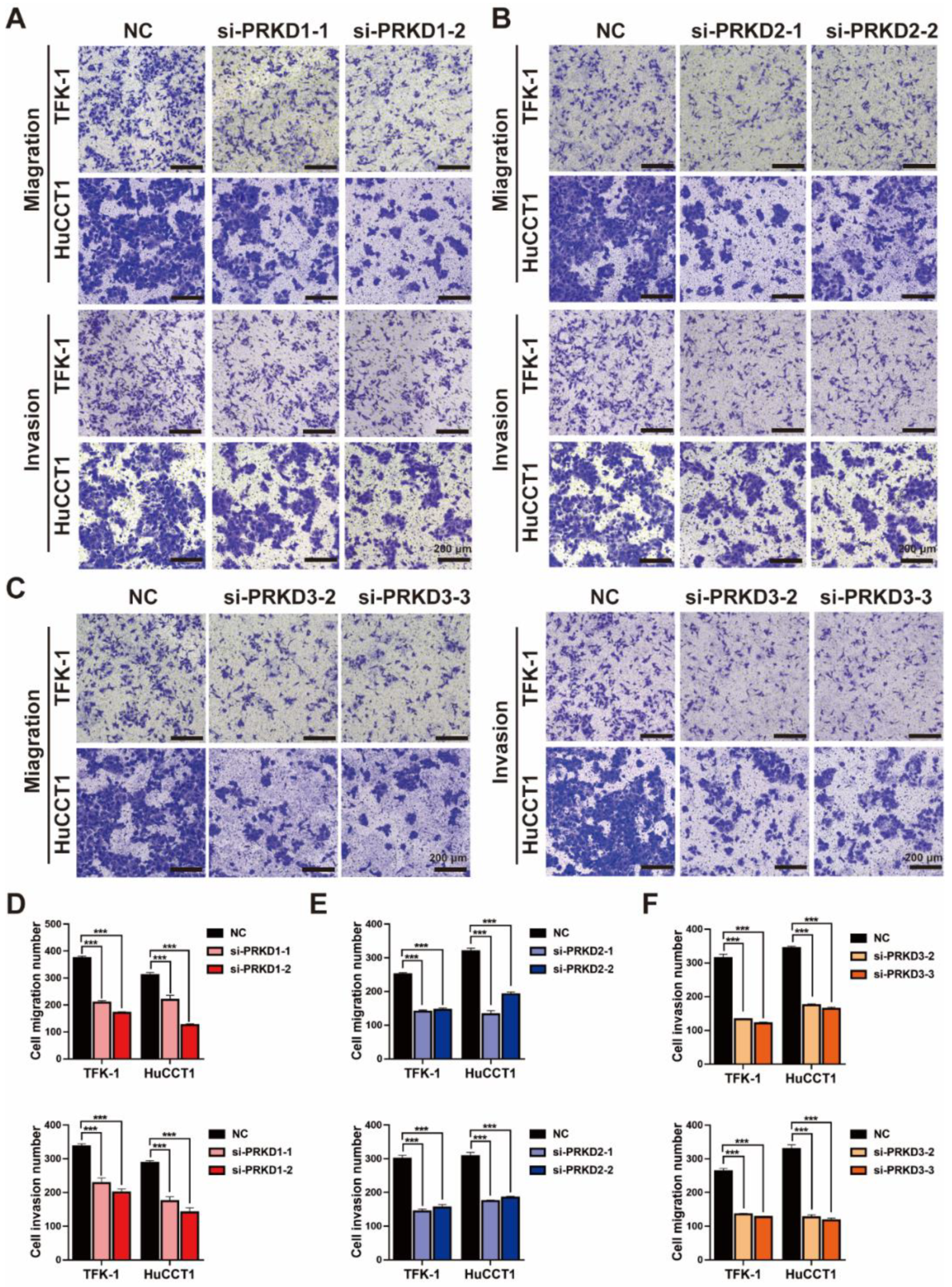 Cells 11 03088 g007 Cells 11 03088 g007