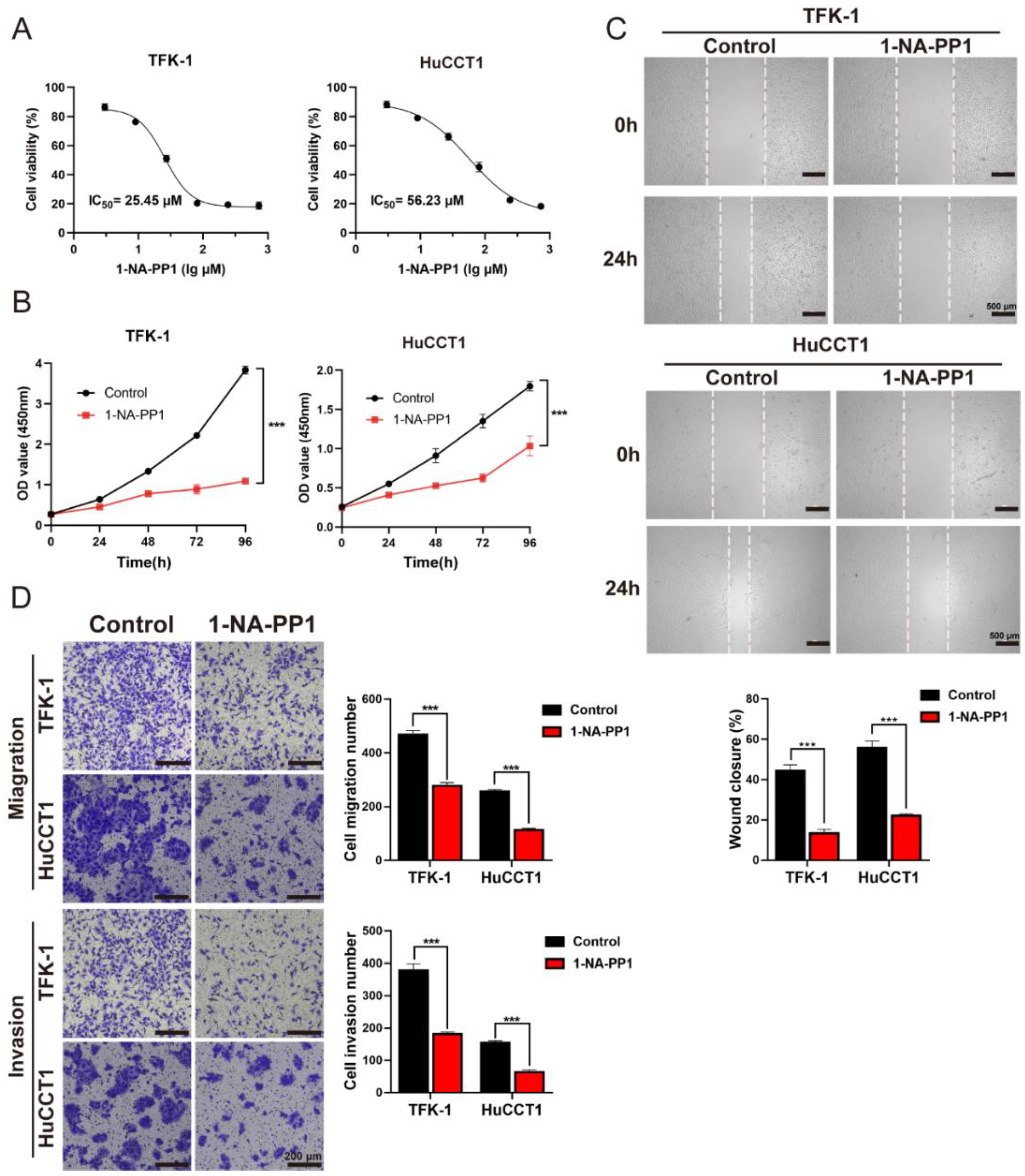 Cells 11 03088 g008 Cells 11 03088 g008