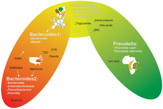 Gut Microbiota in Nutrition and Health with a Special Focus on Specific ...