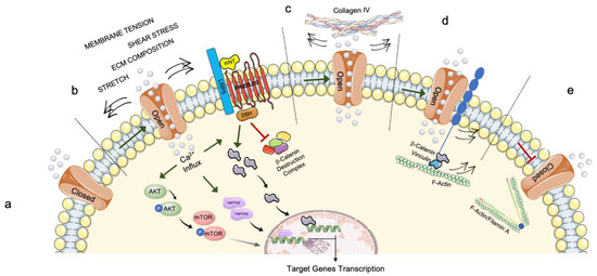 Biochemical Pathways of Cellular Biology Diagrams