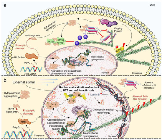 Biochemical Pathways of Cellular ... Biology Diagrams