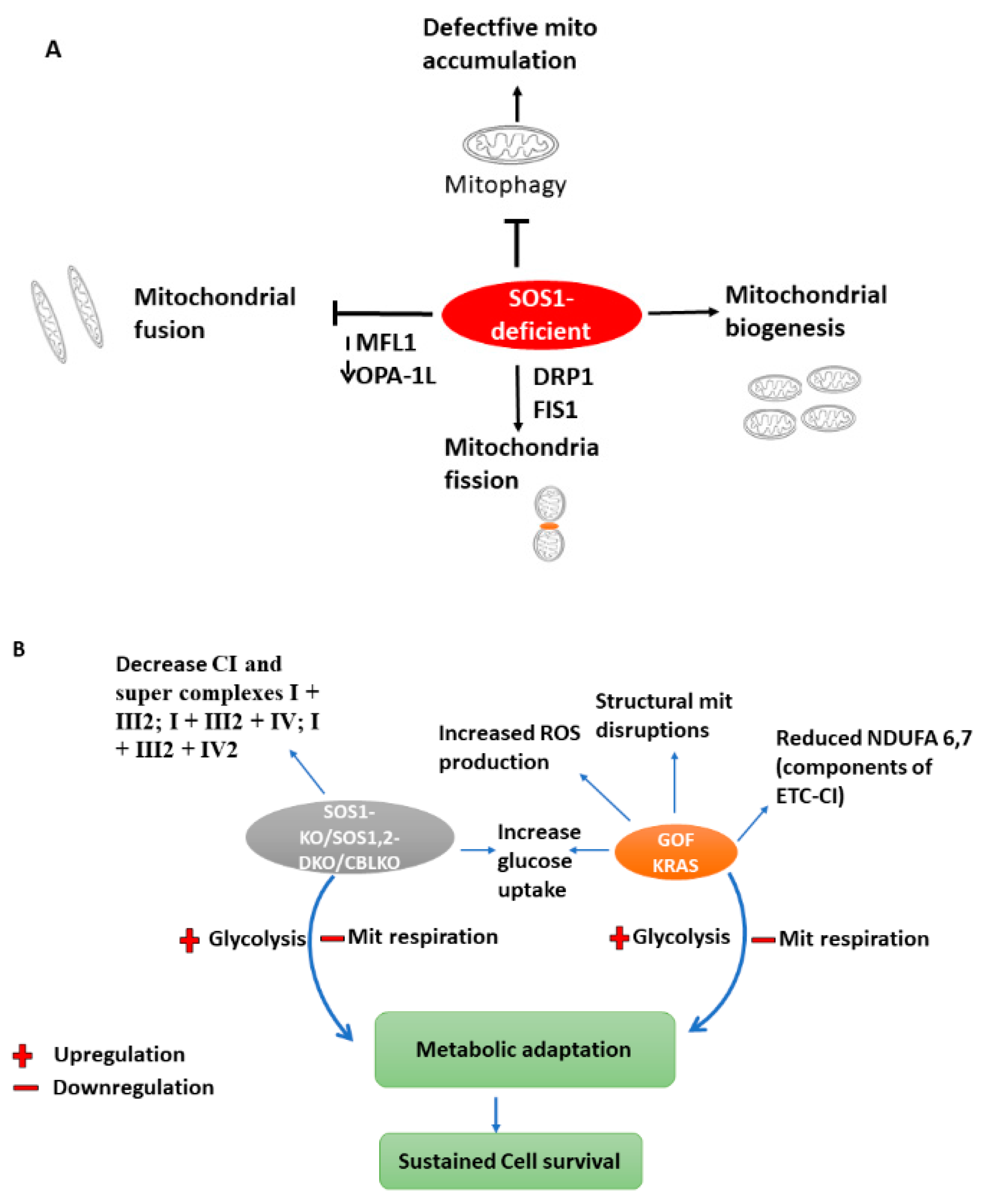 Cells 11 03099 g003 Cells 11 03099 g003