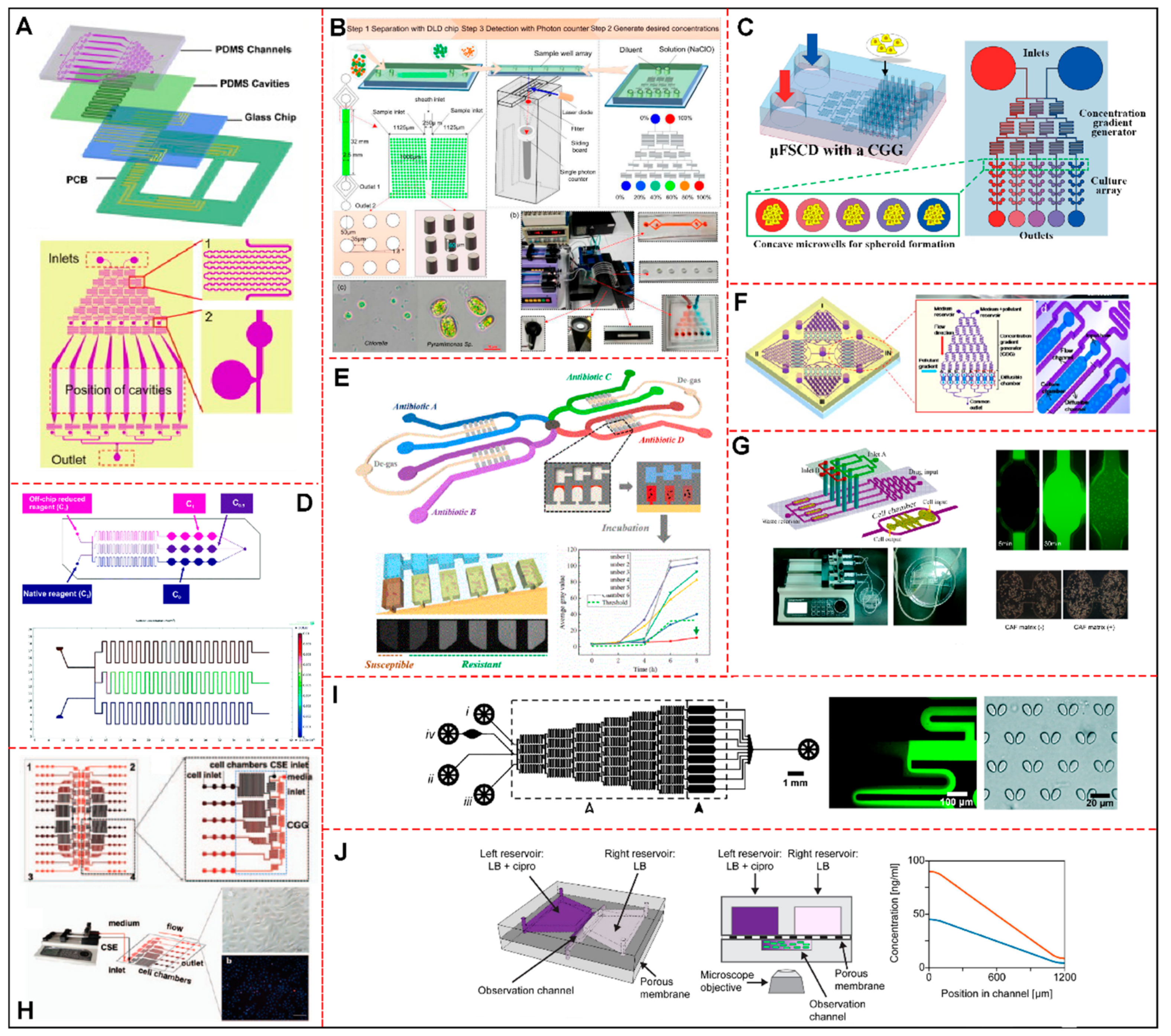 Cells 11 03101 g002 Cells 11 03101 g002