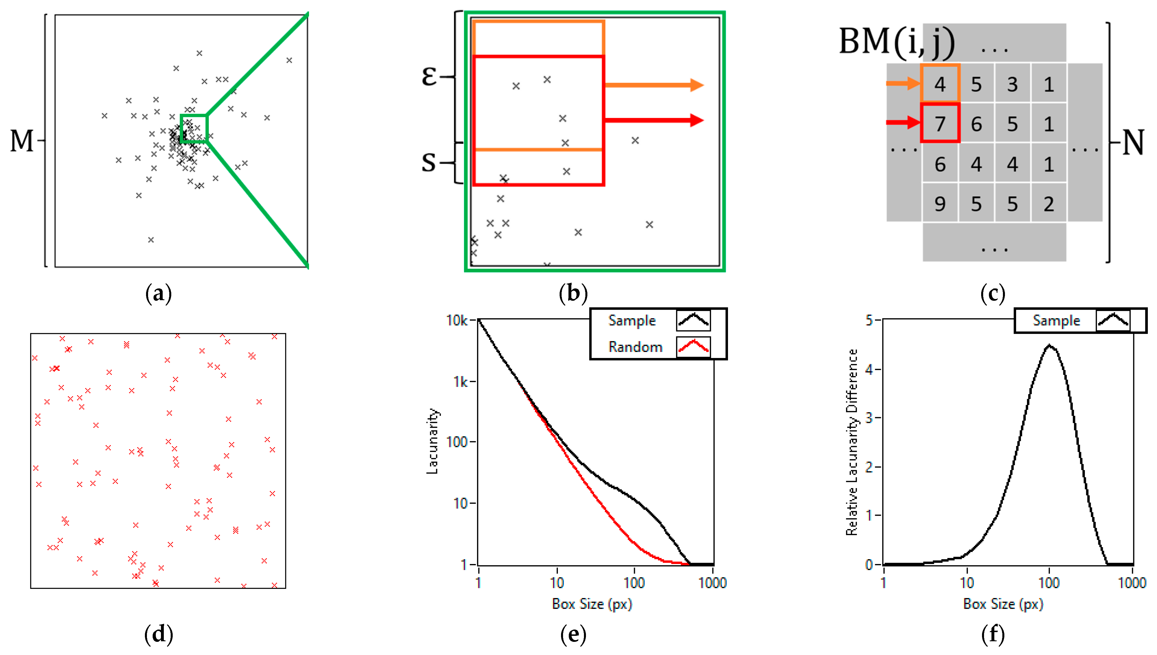 Cells 11 03105 g001 Cells 11 03105 g001