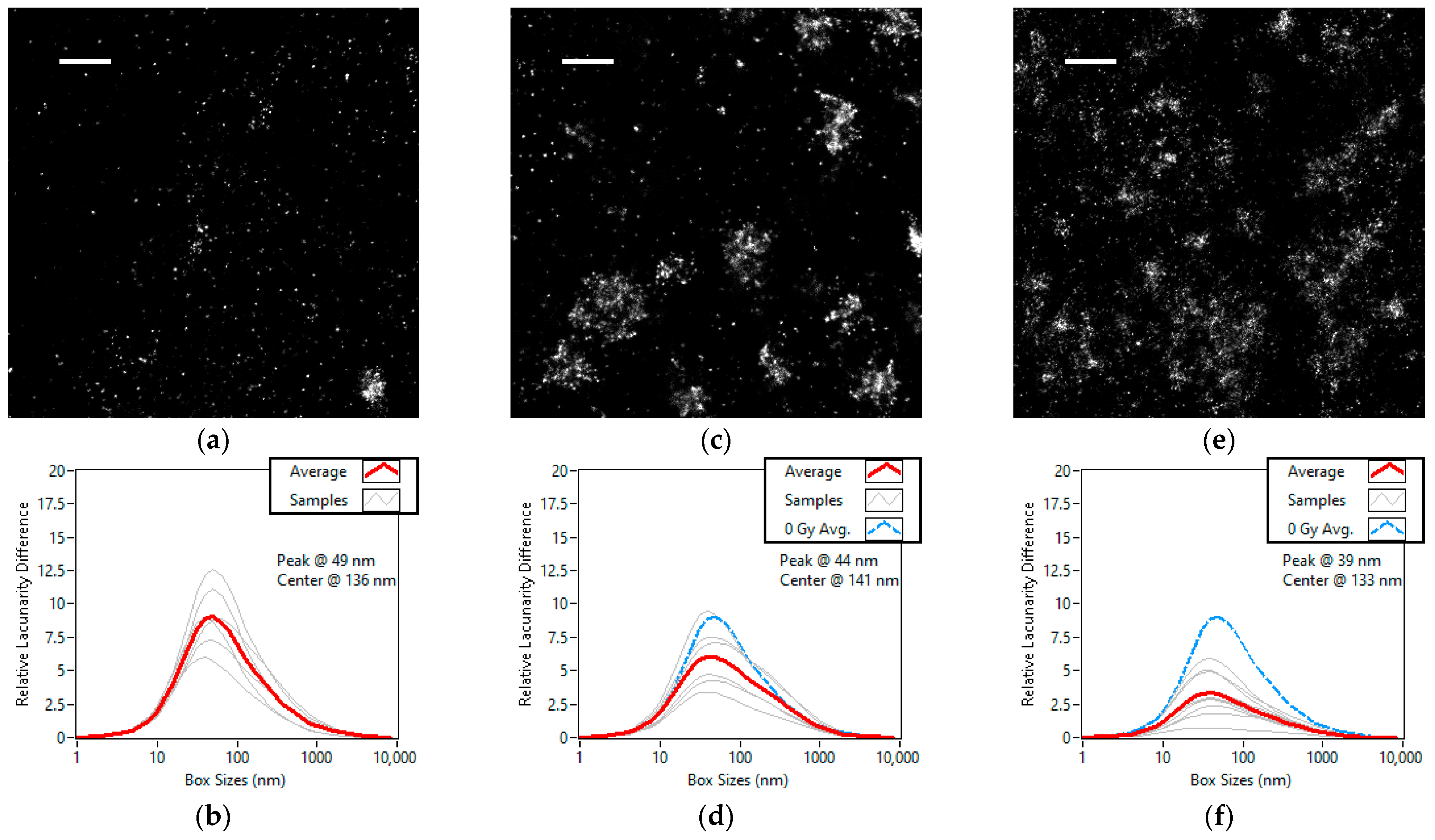 Cells 11 03105 g005 Cells 11 03105 g005