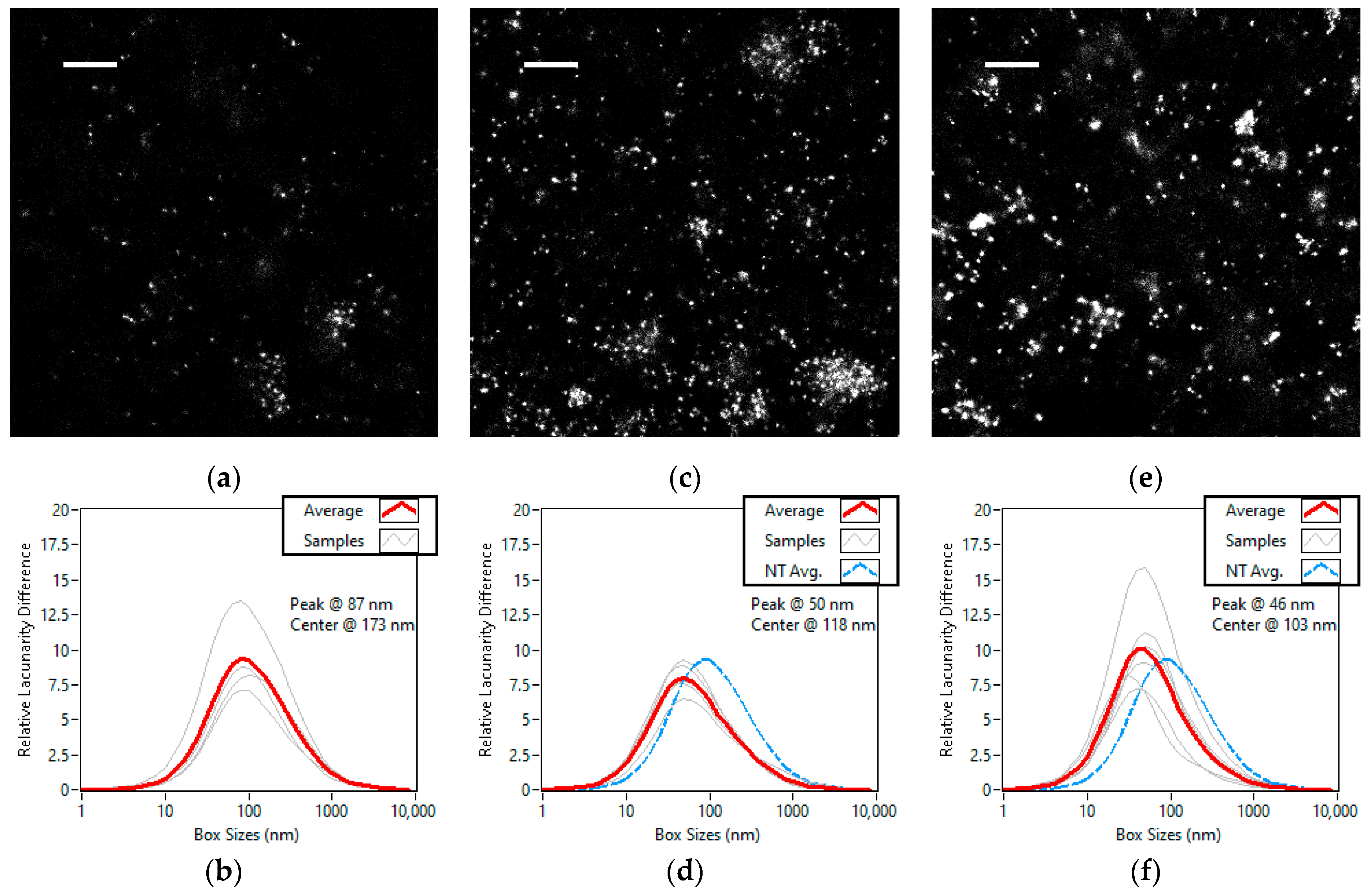 Cells 11 03105 g007 Cells 11 03105 g007