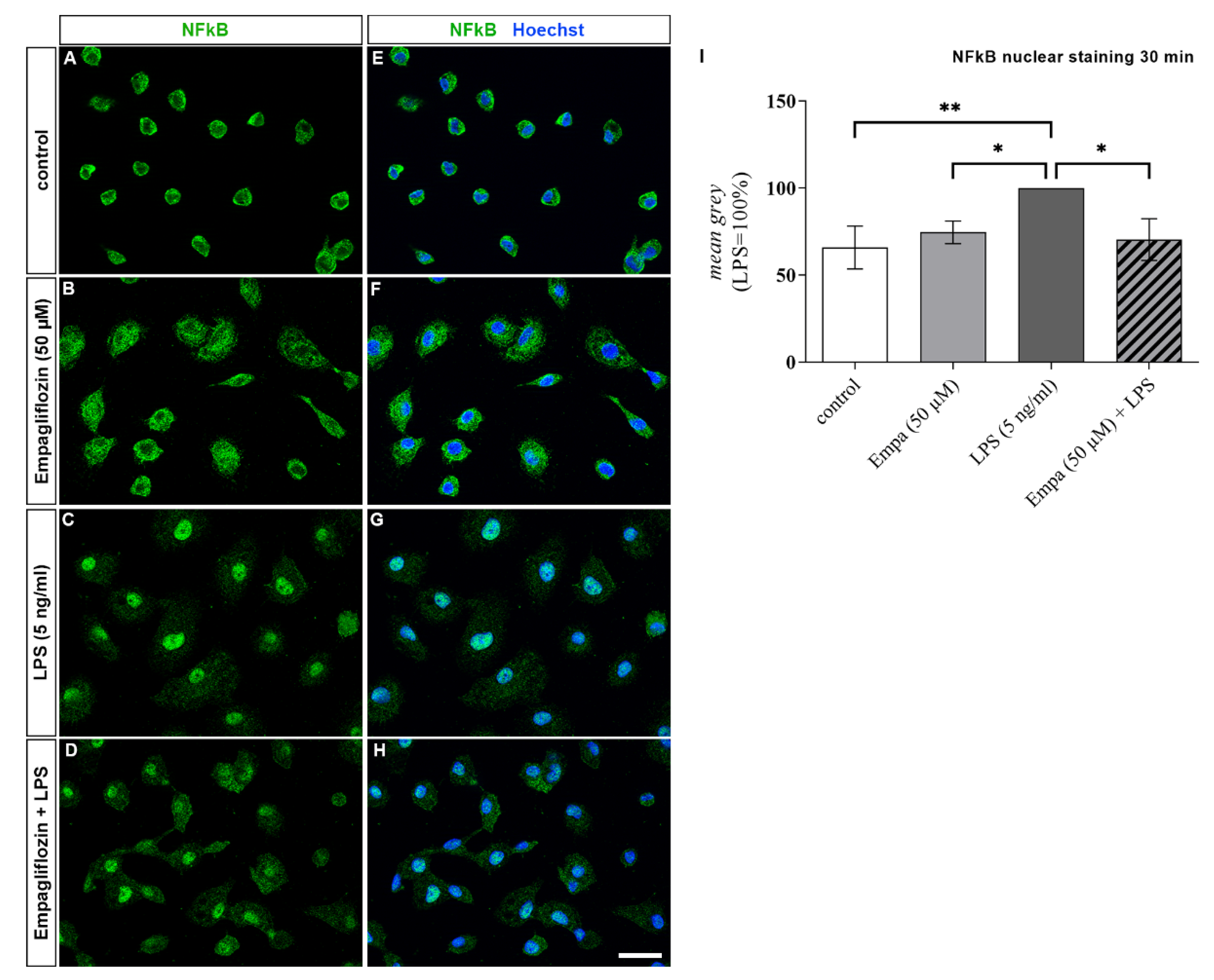 Cells 11 03107 g007 Cells 11 03107 g007
