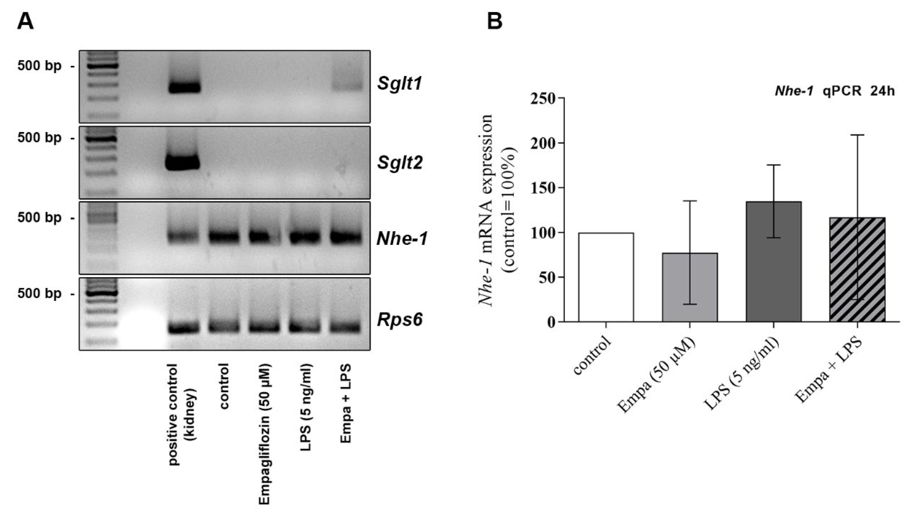Cells 11 03107 g008 Cells 11 03107 g008