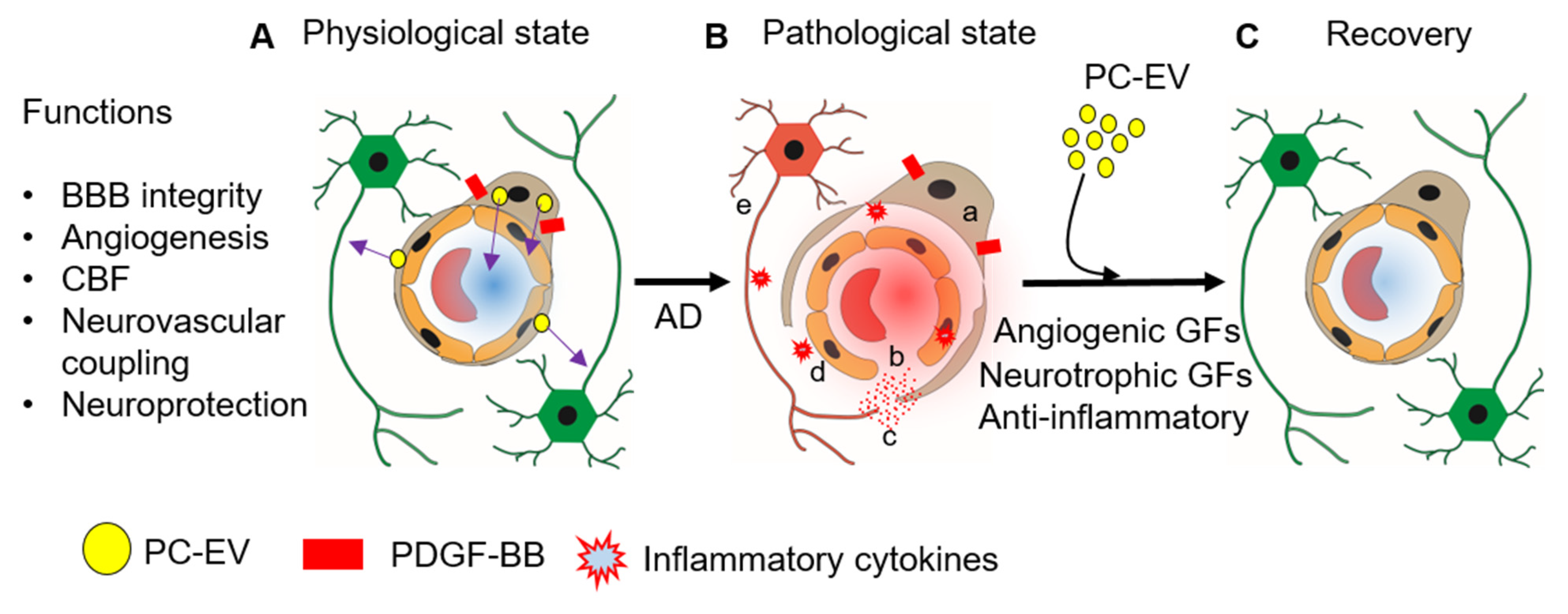 Cells 11 03108 g005 Cells 11 03108 g005