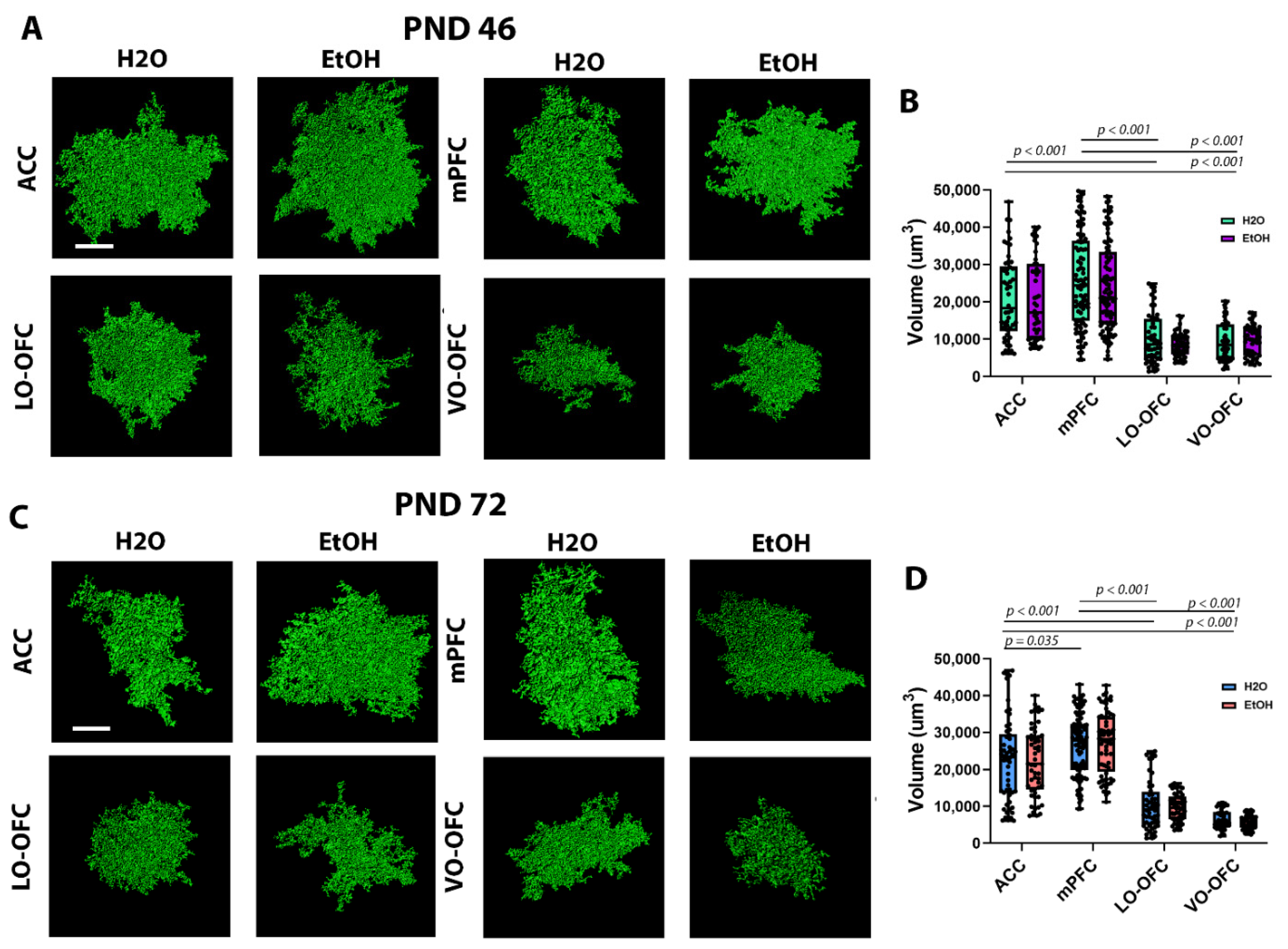 Cells 11 03111 g002 Cells 11 03111 g002