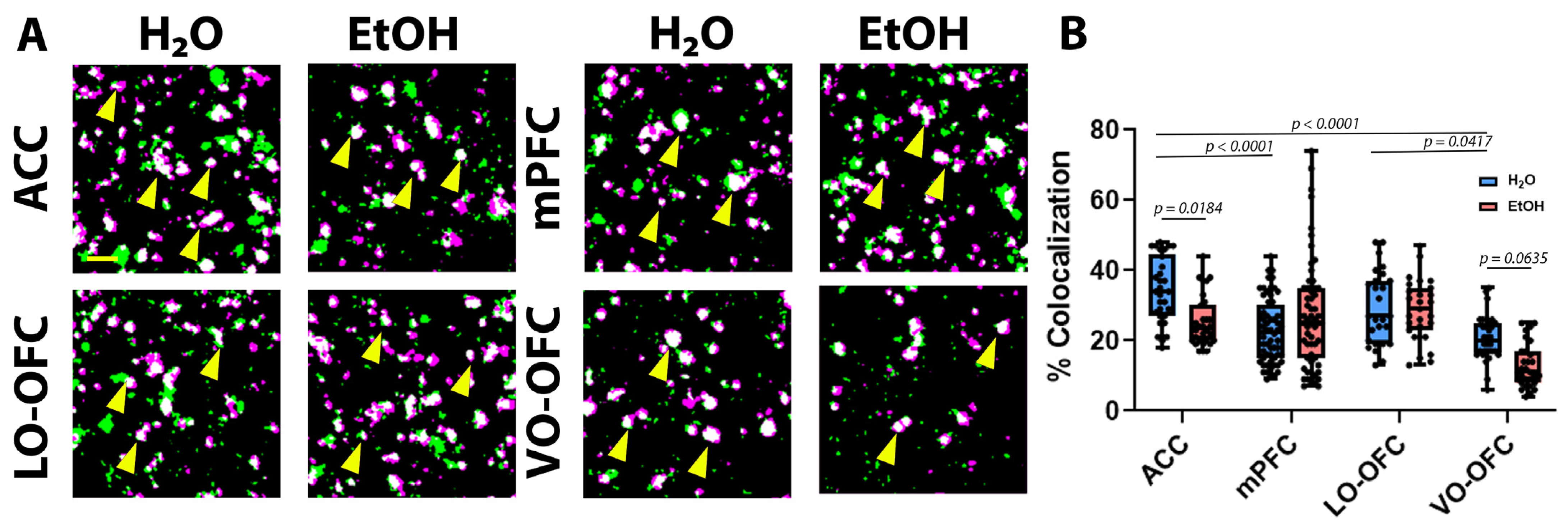 Cells 11 03111 g006 Cells 11 03111 g006