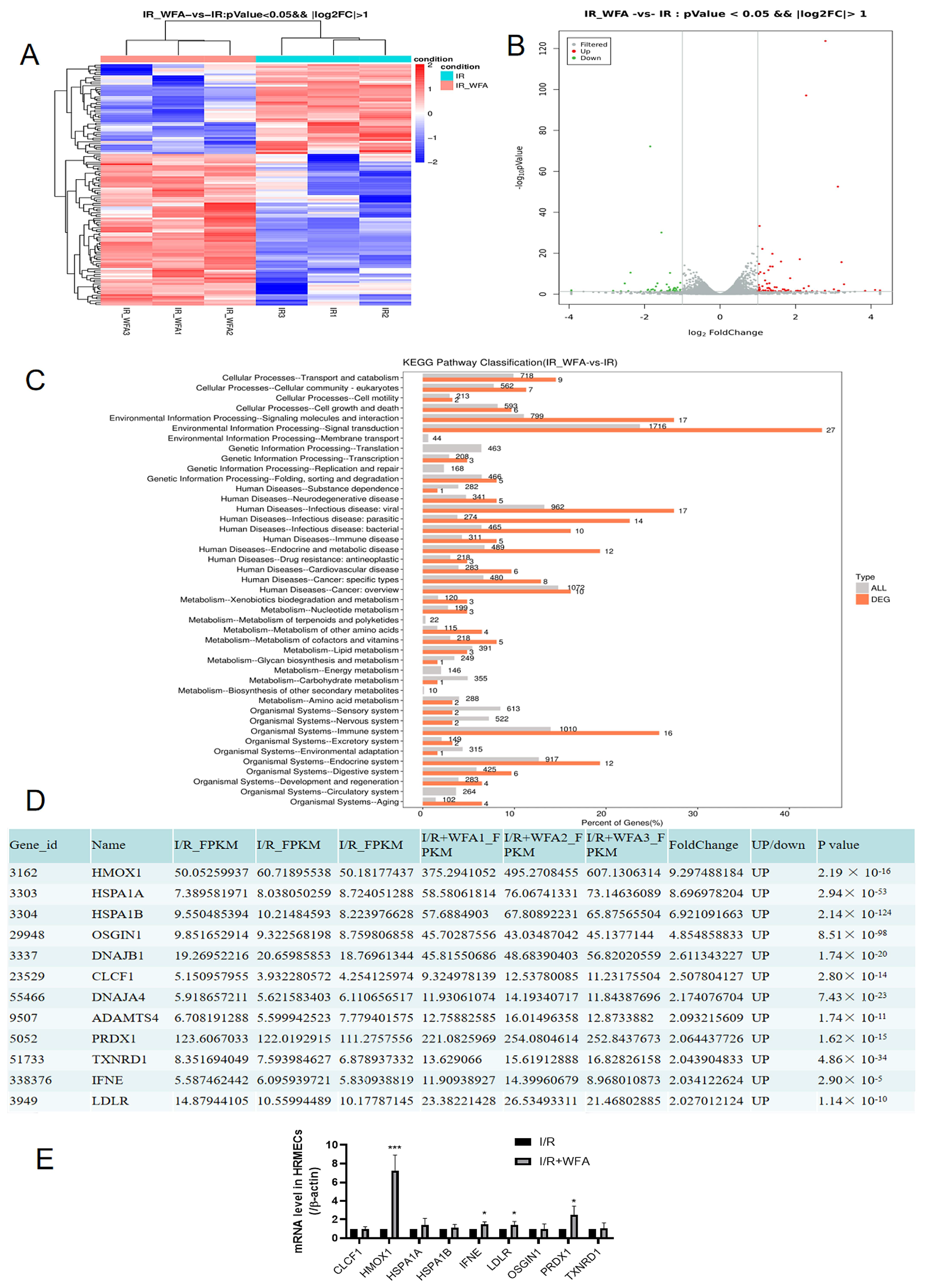 Cells 11 03113 g004 Cells 11 03113 g004
