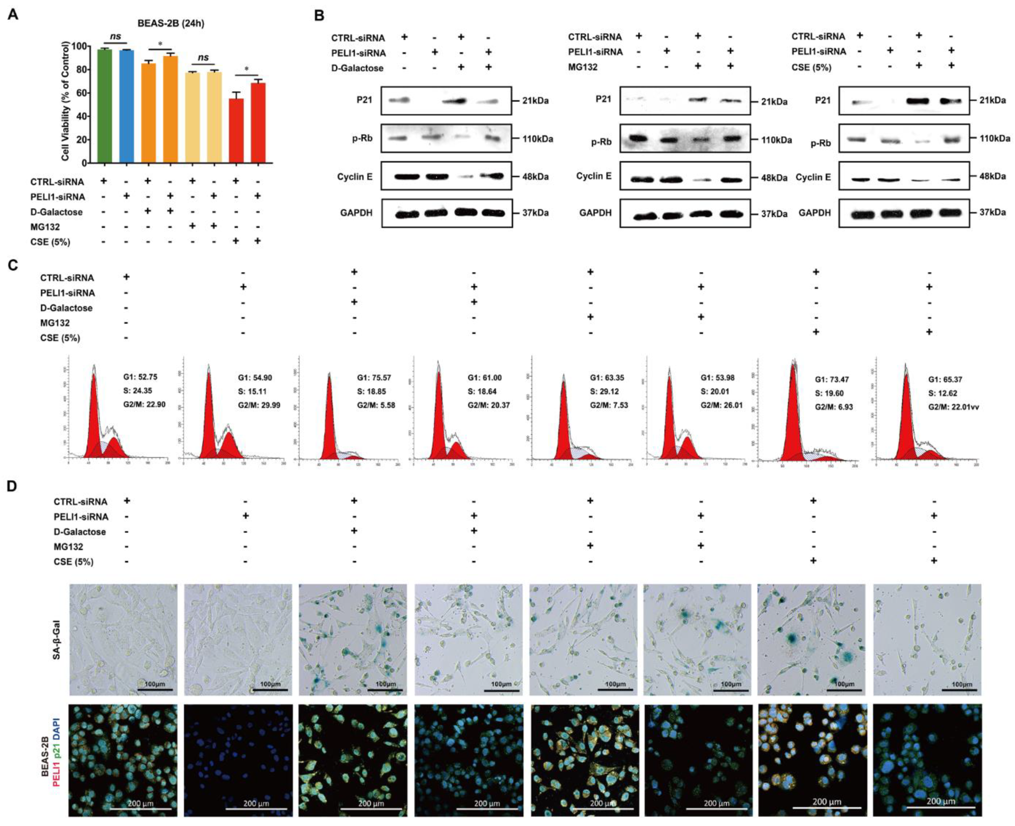 Cells 11 03115 g002 Cells 11 03115 g002