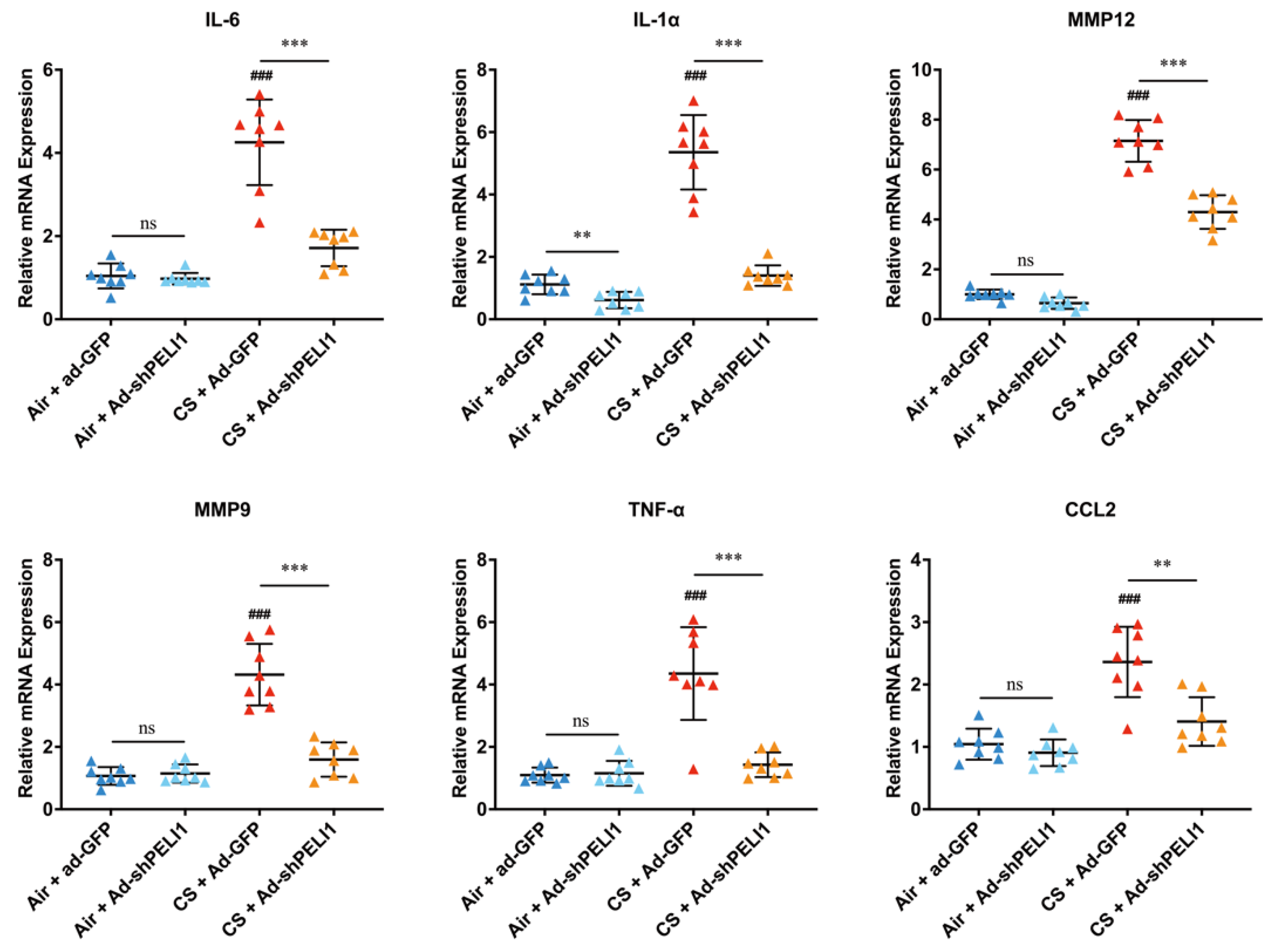 Cells 11 03115 g005 Cells 11 03115 g005