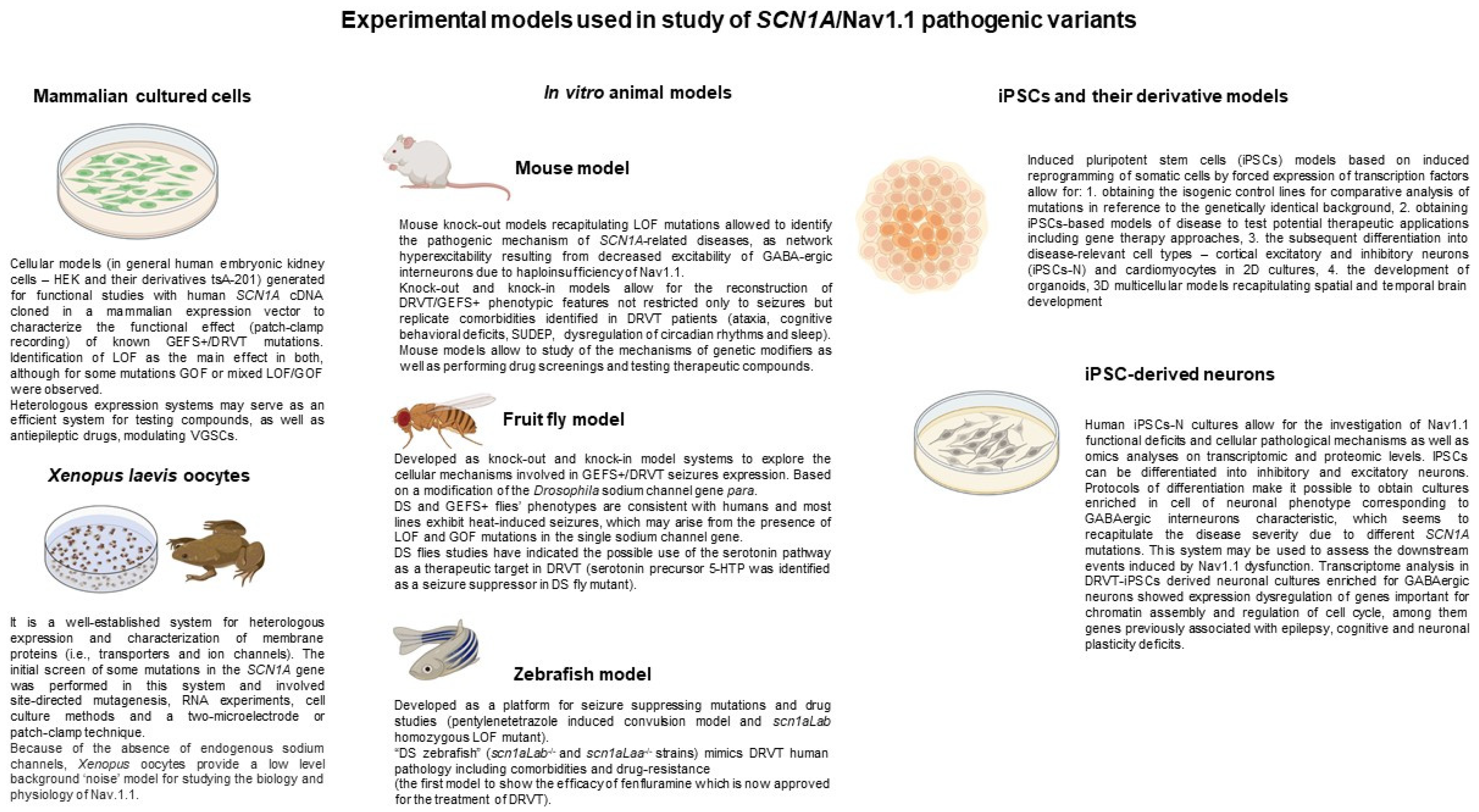 Cells 11 03119 g002 Cells 11 03119 g002