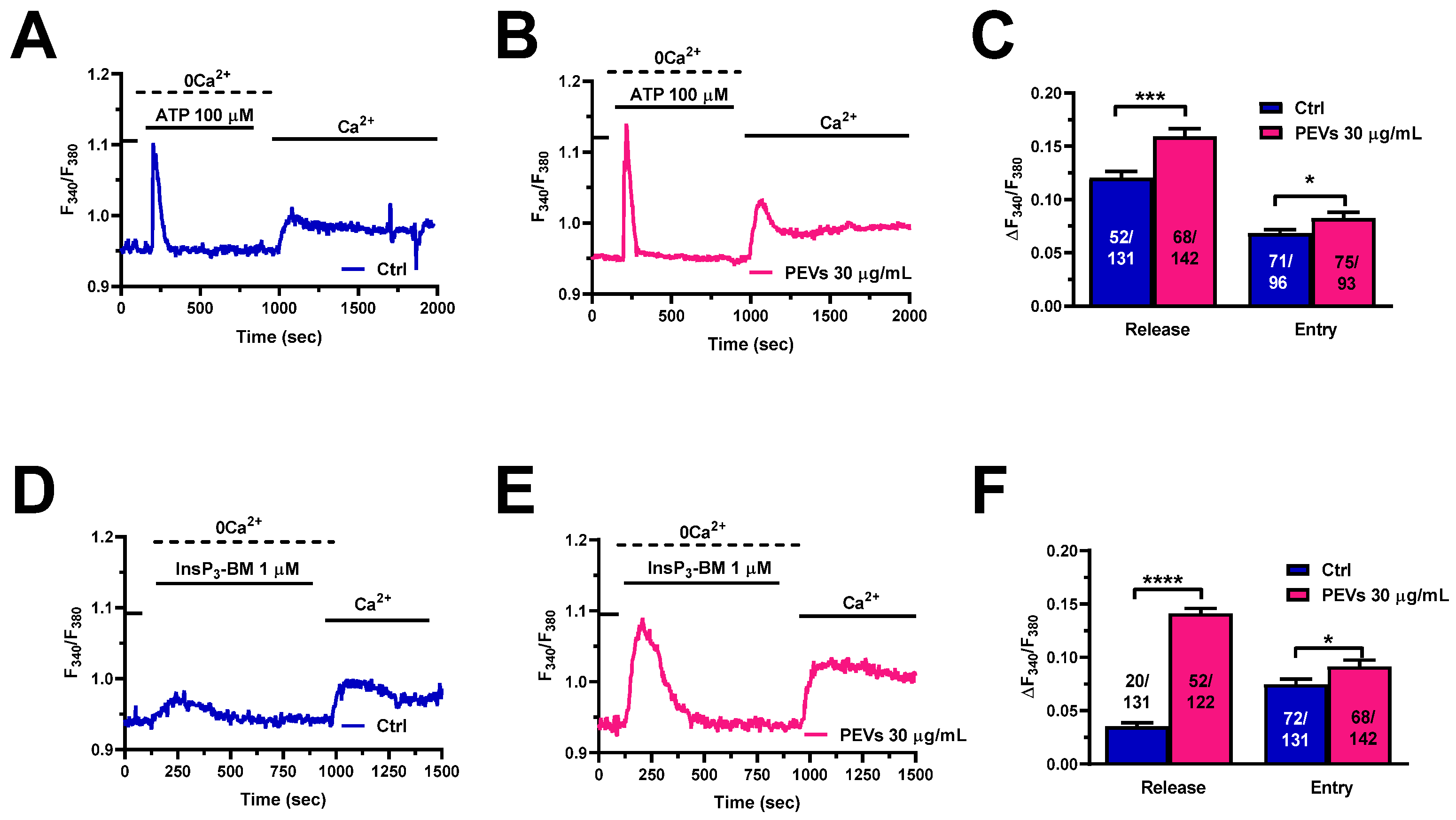 Cells 11 03120 g002 Cells 11 03120 g002