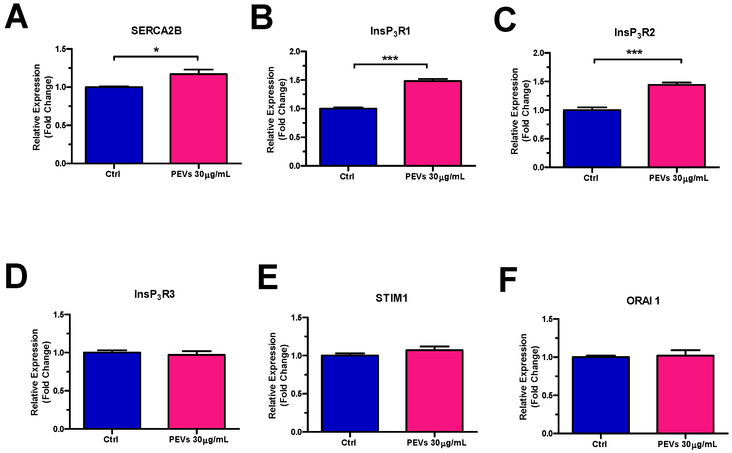 Cells 11 03120 g003 Cells 11 03120 g003