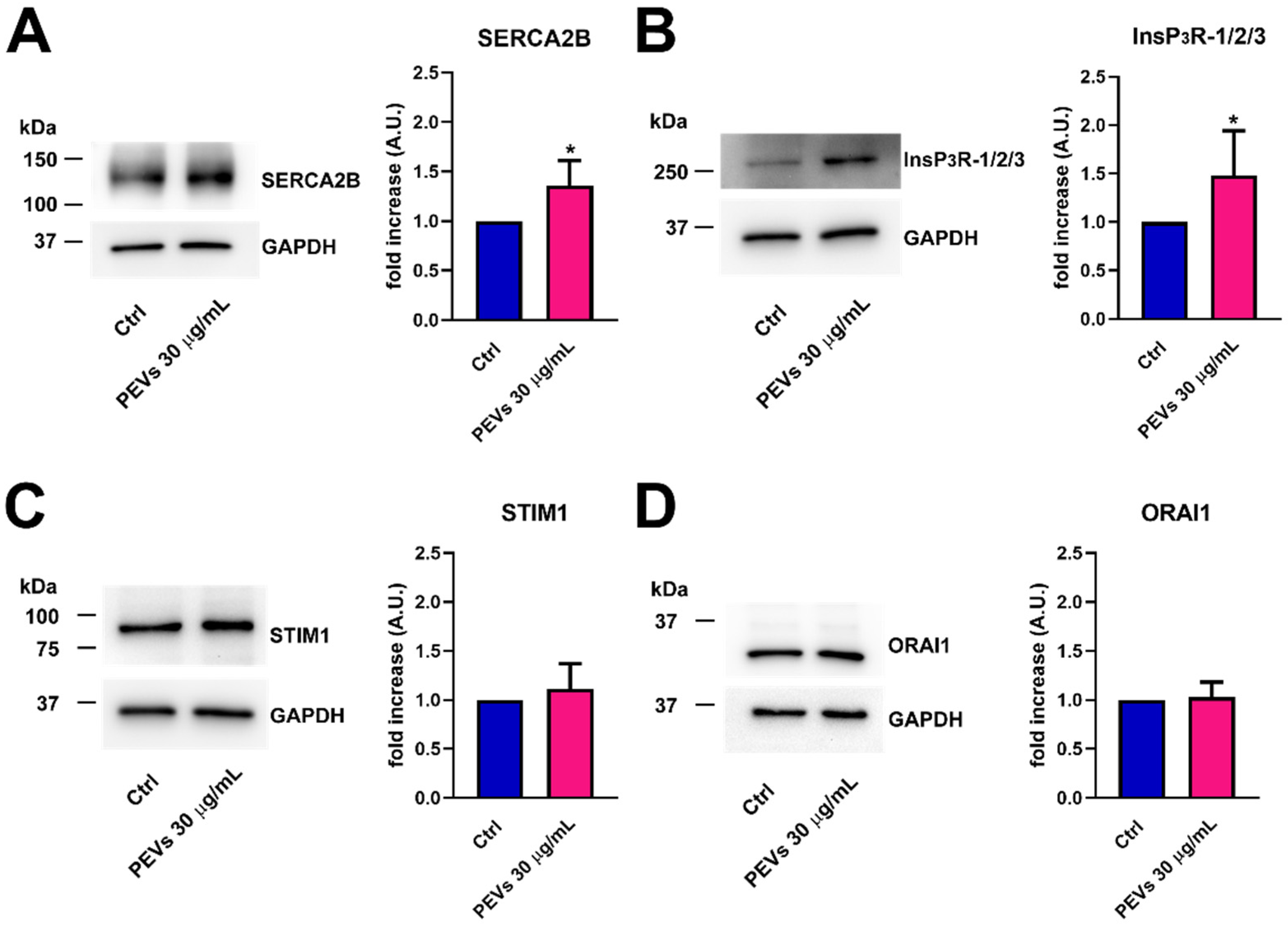 Cells 11 03120 g004 Cells 11 03120 g004