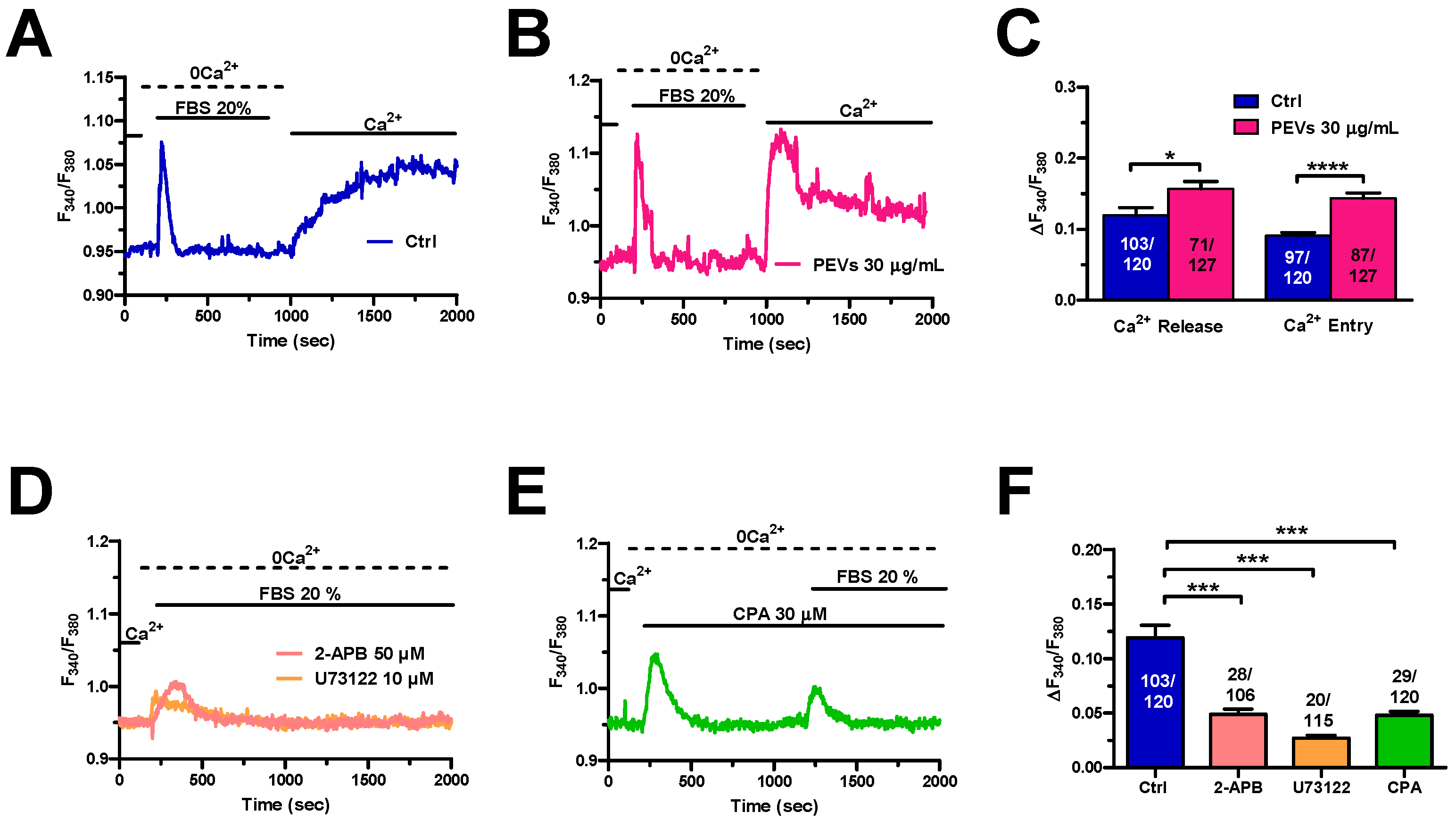 Cells 11 03120 g005 Cells 11 03120 g005