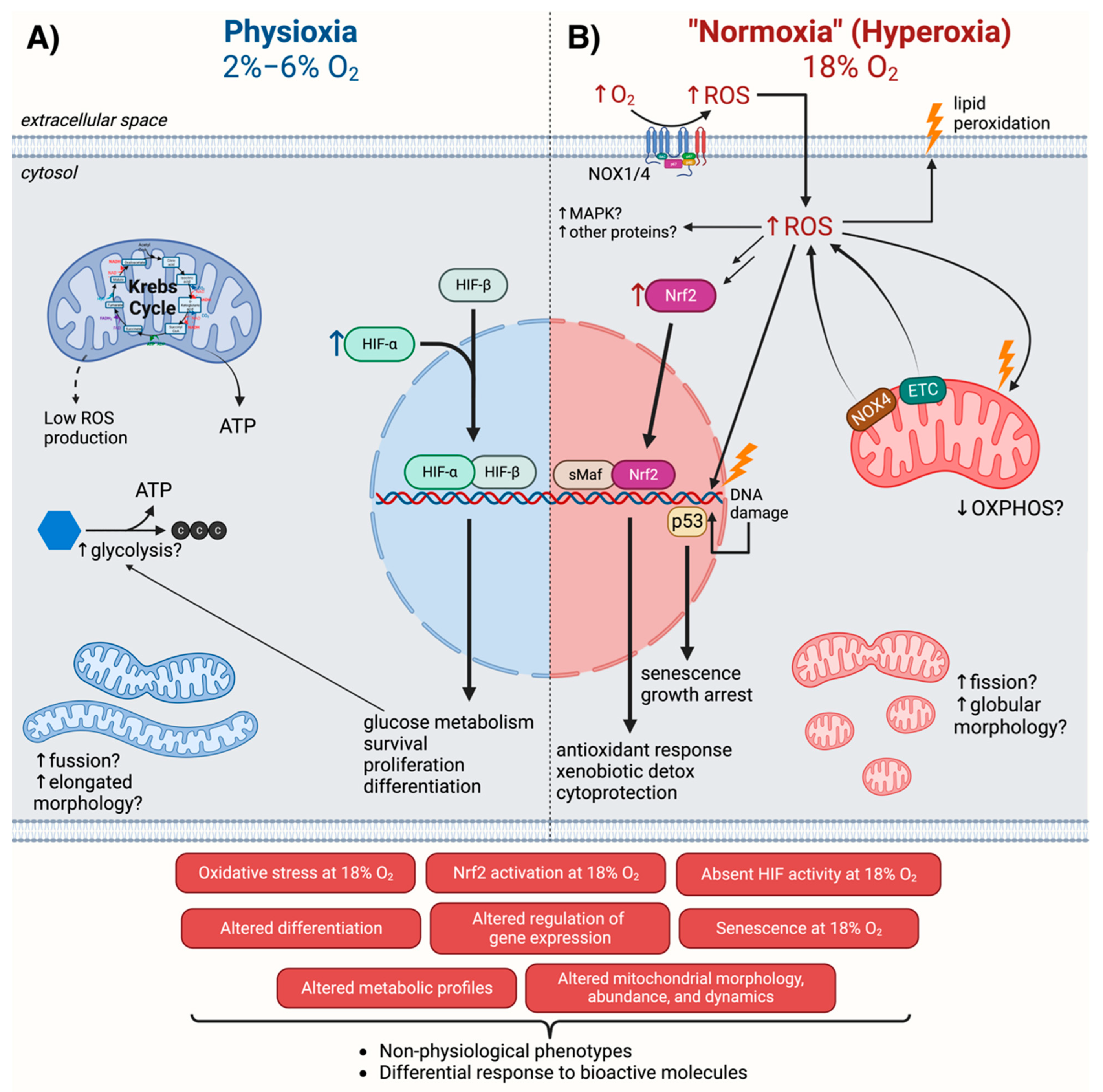 Cells 11 03123 g002 Cells 11 03123 g002