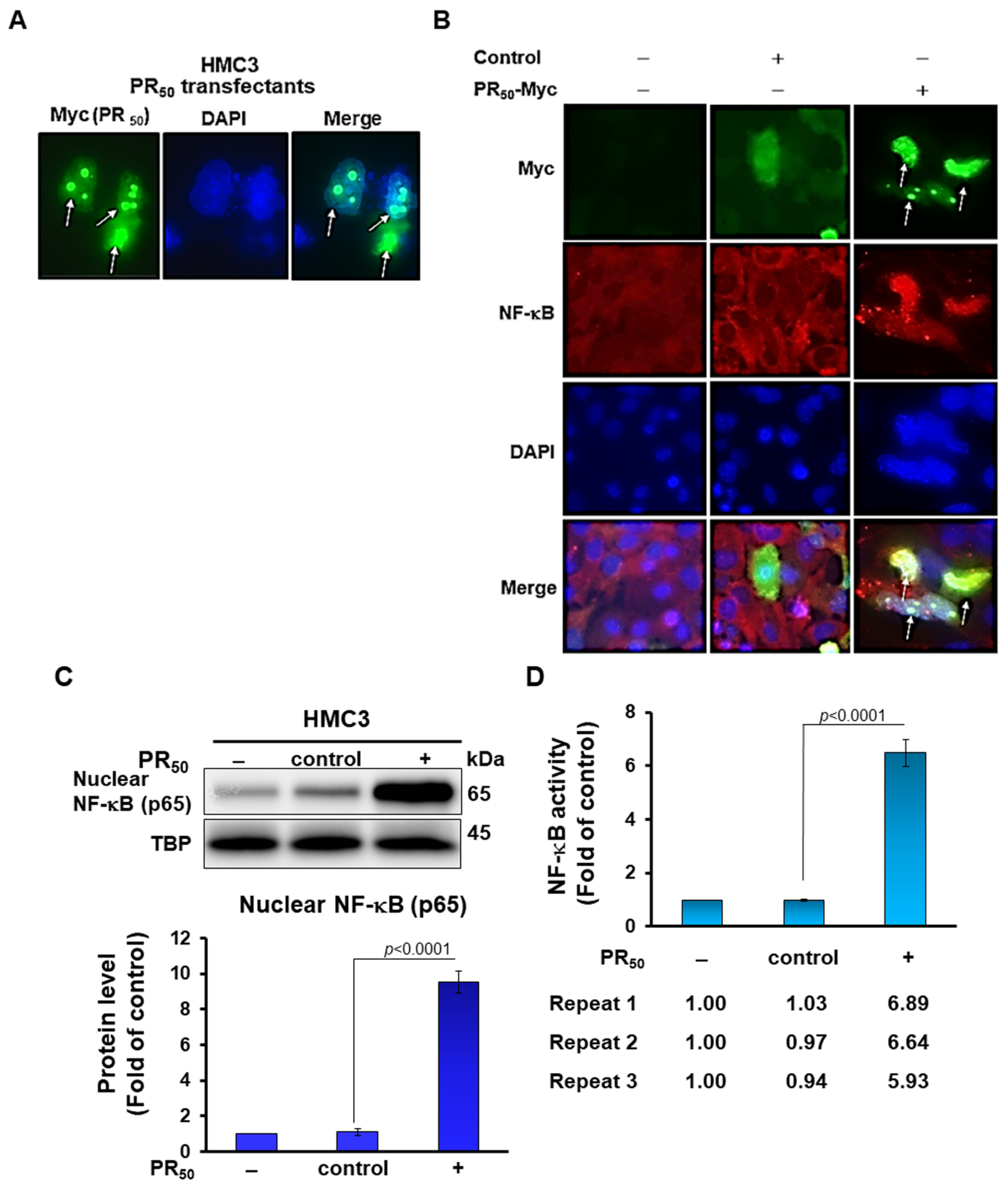 Cells 11 03128 g001a