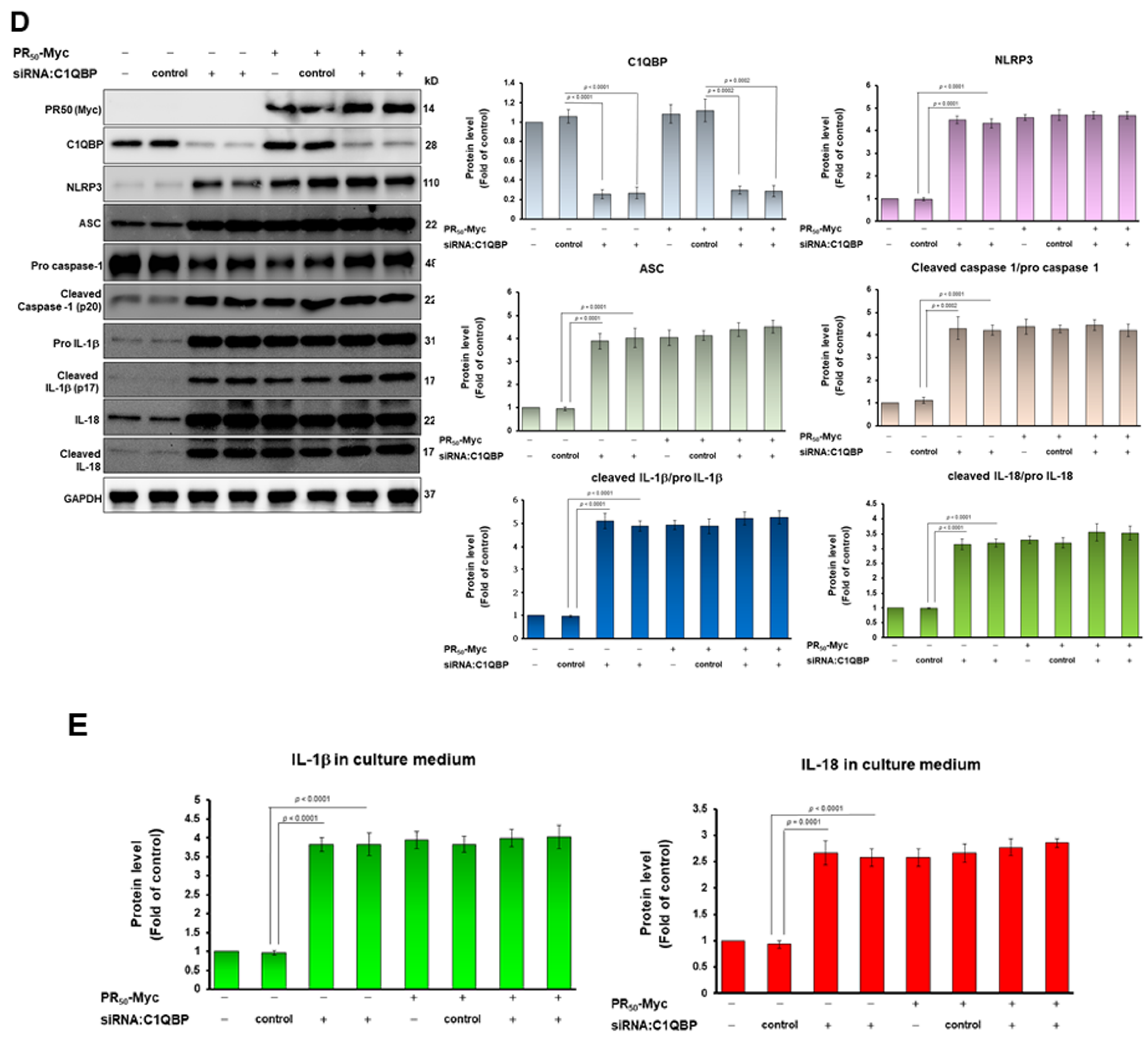 Cells 11 03128 g007b