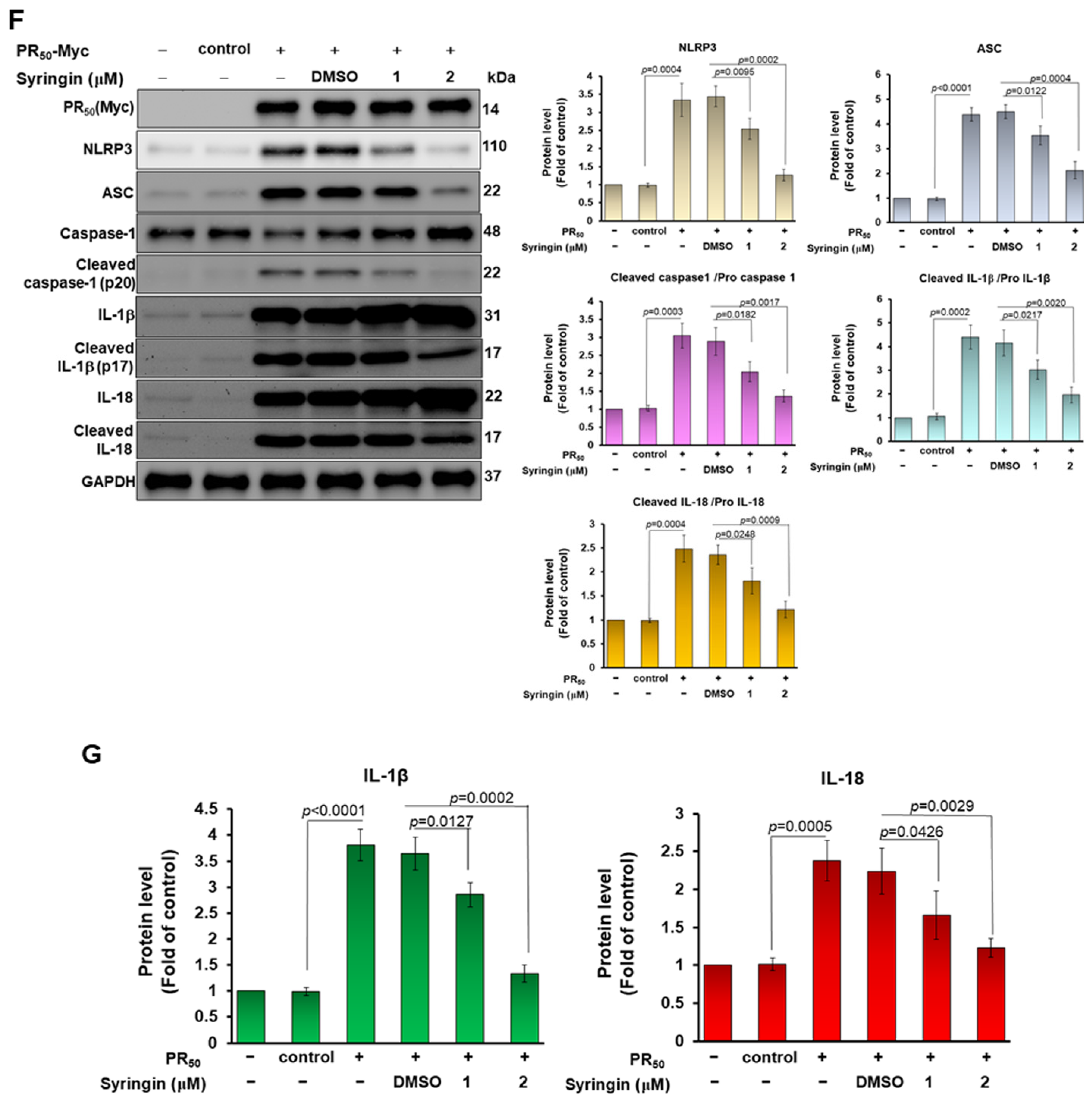 Cells 11 03128 g009c
