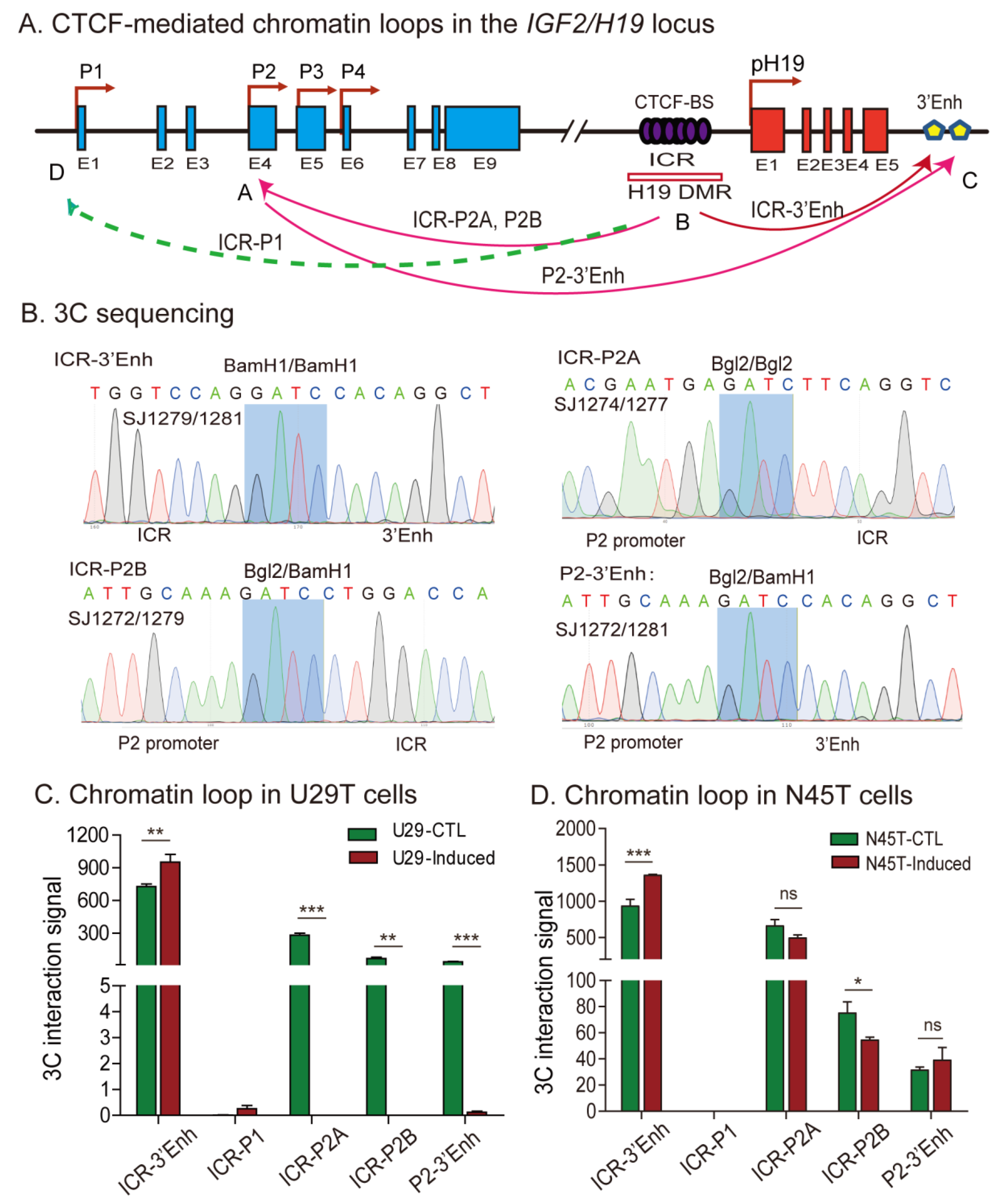 Cells 11 03130 g005 Cells 11 03130 g005