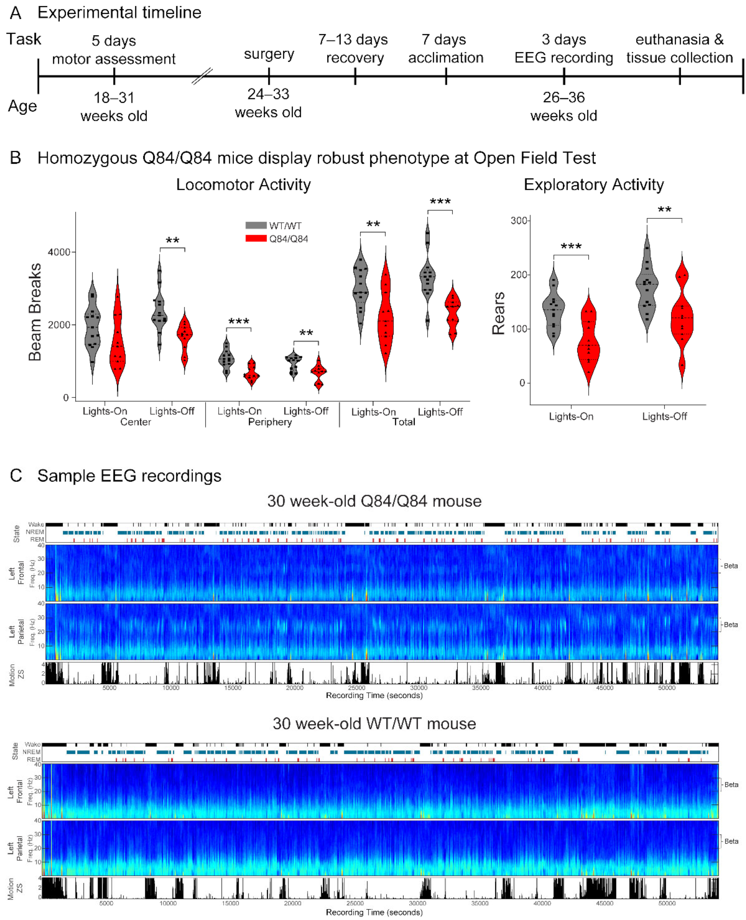 Cells 11 03132 g001 Cells 11 03132 g001