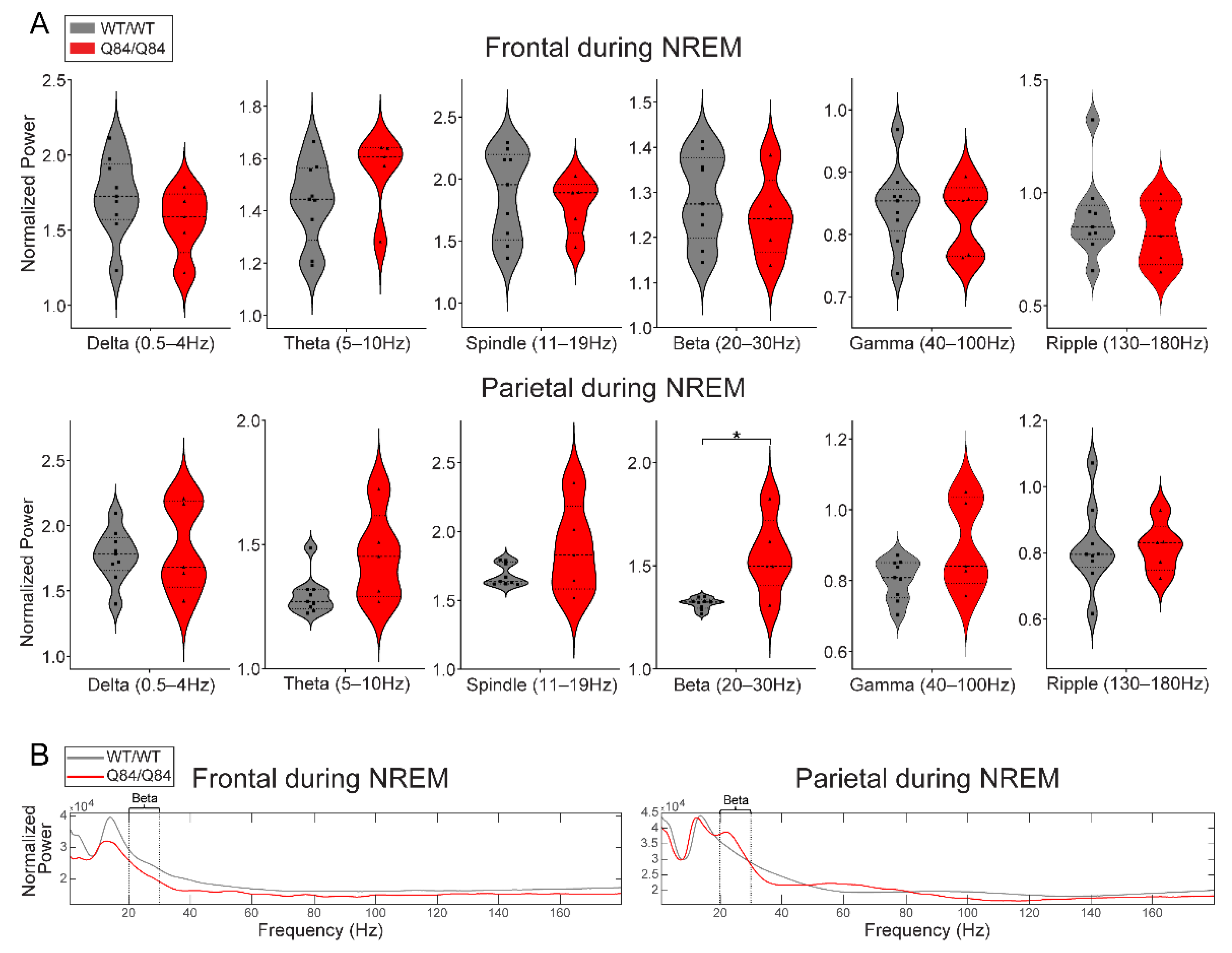 Cells 11 03132 g004 Cells 11 03132 g004