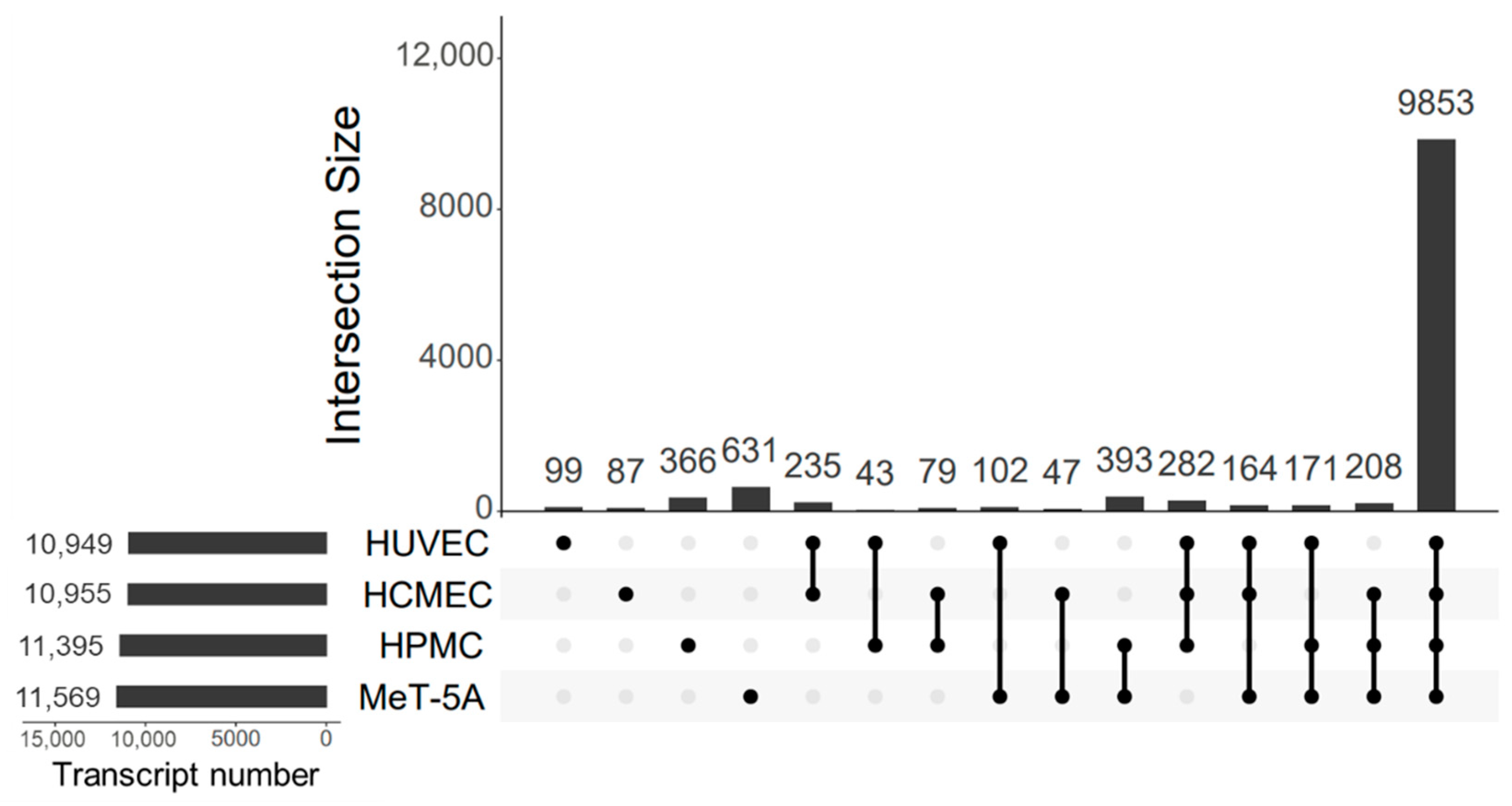 Cells 11 03133 g001 Cells 11 03133 g001