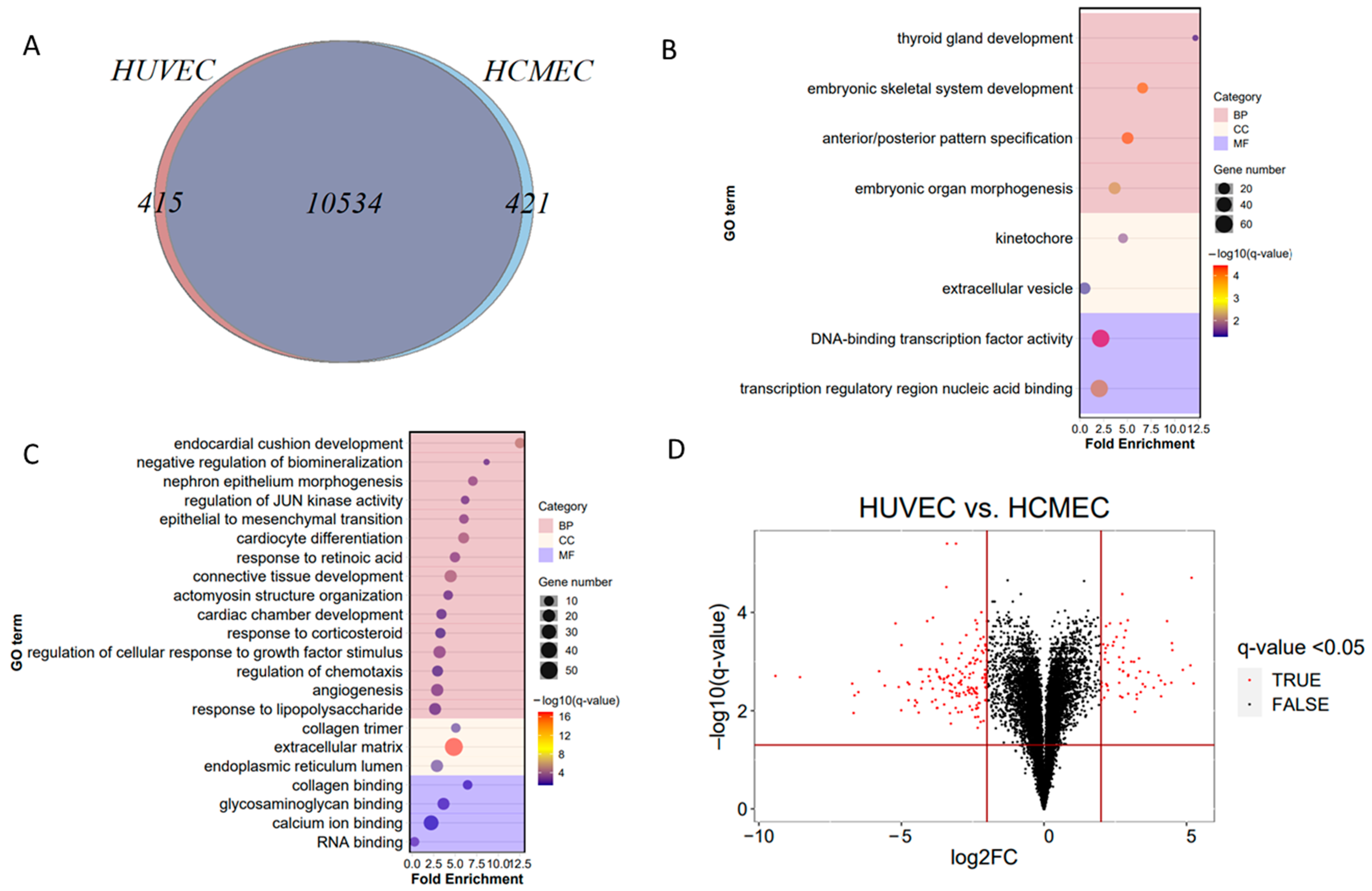 Cells 11 03133 g004 Cells 11 03133 g004