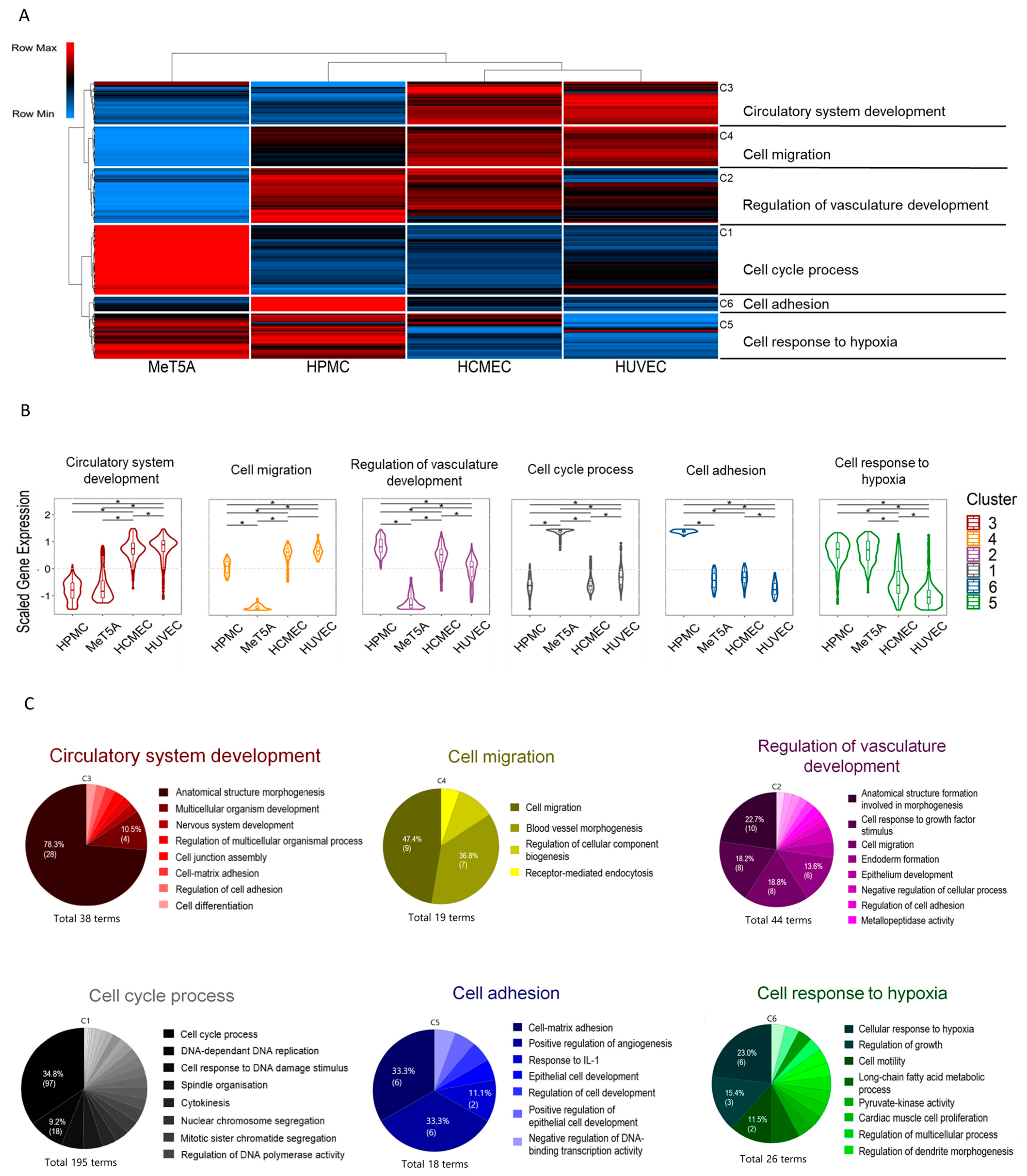 Cells 11 03133 g006 Cells 11 03133 g006